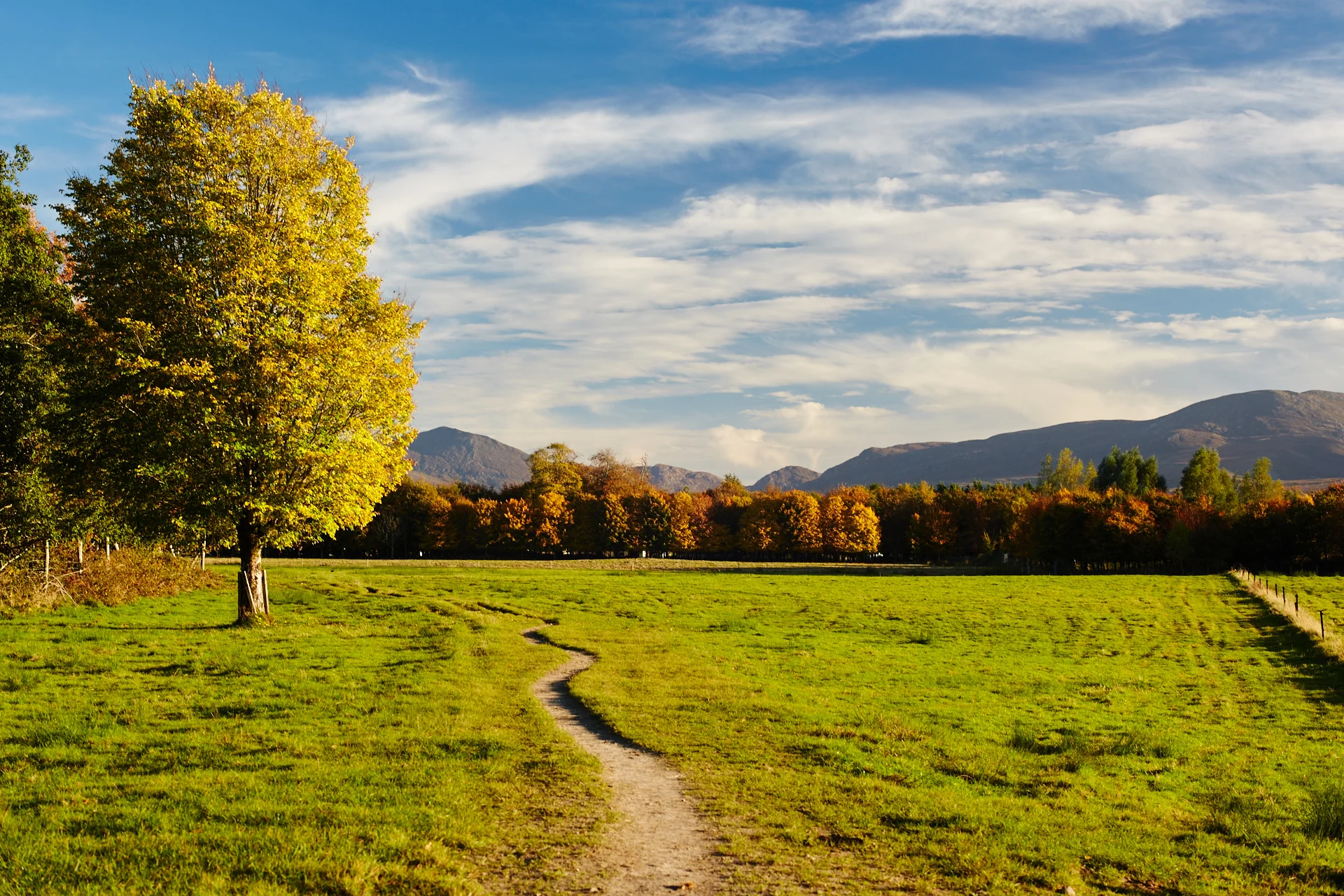 Killarney National Park, Ireland
