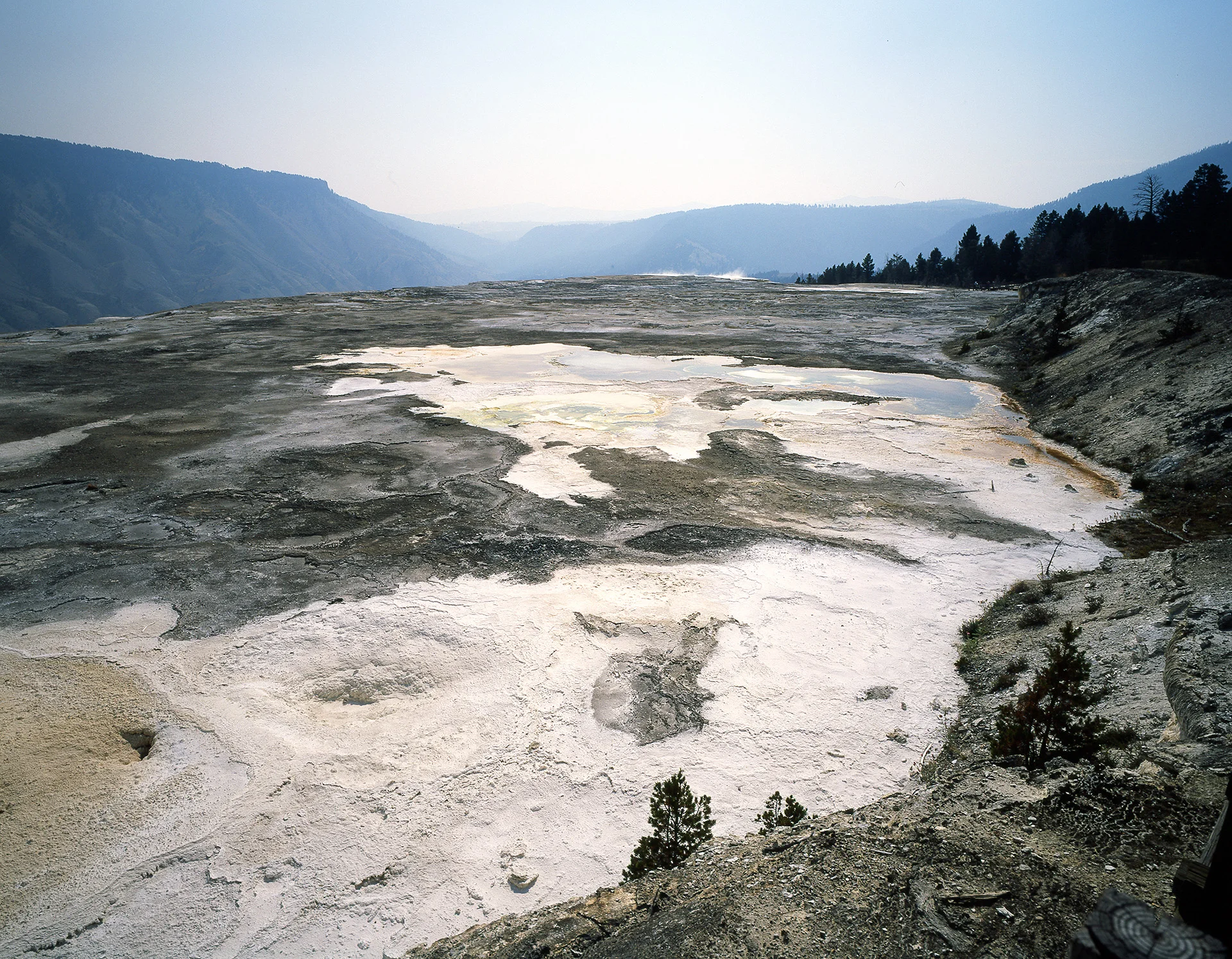 Yellowstone_RVP50_006 copy.jpg