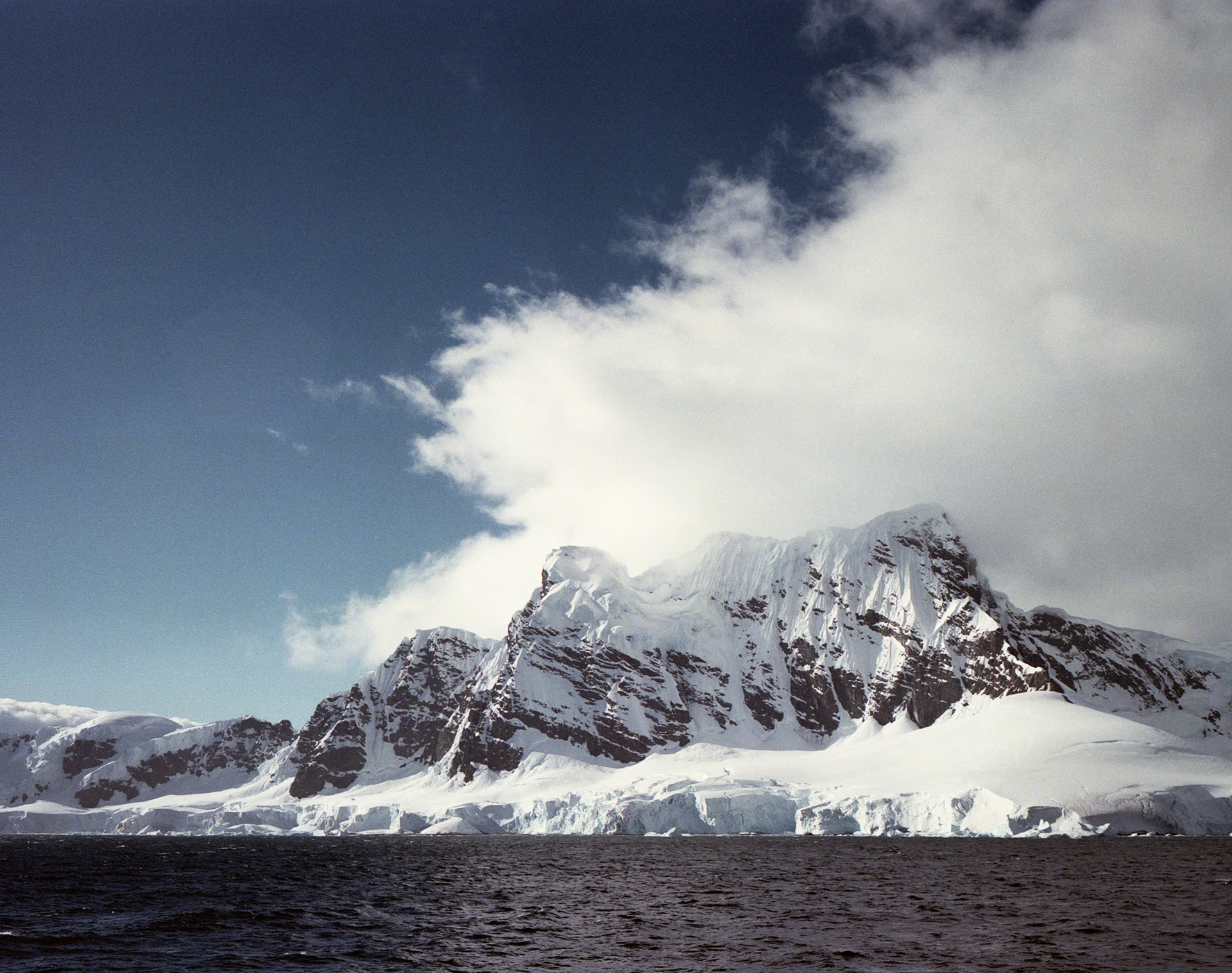 Vericolor012.jpg