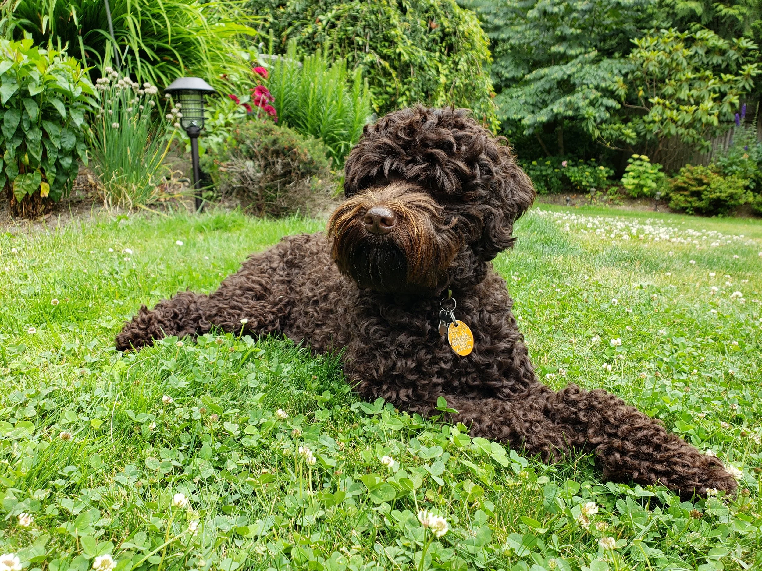 20180628_144843.jpg