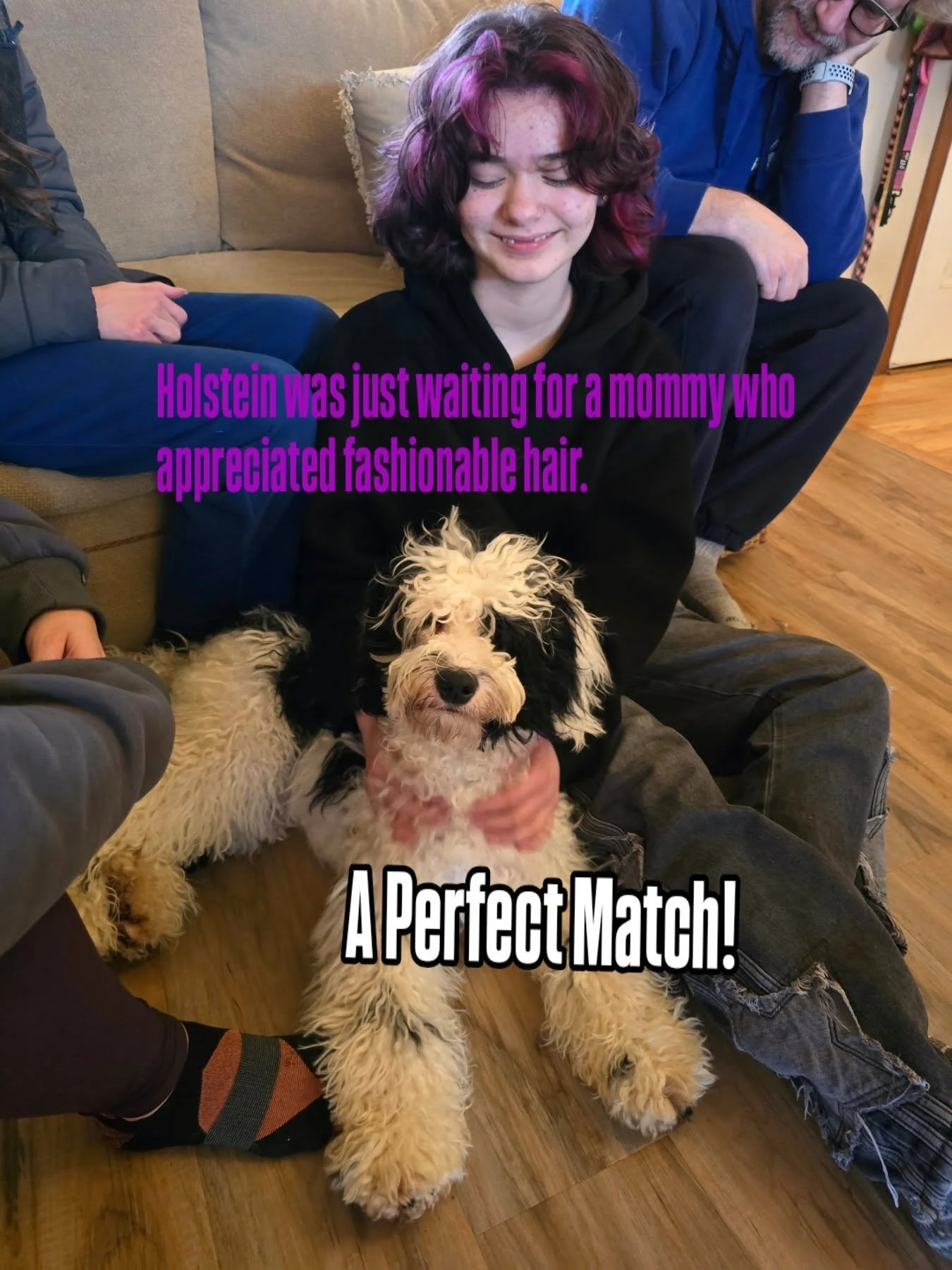 It never surprises me when a special dog finds its perfect match!!

#BFF #dogmom #labradoodlelove #labradoodlesofinstagram