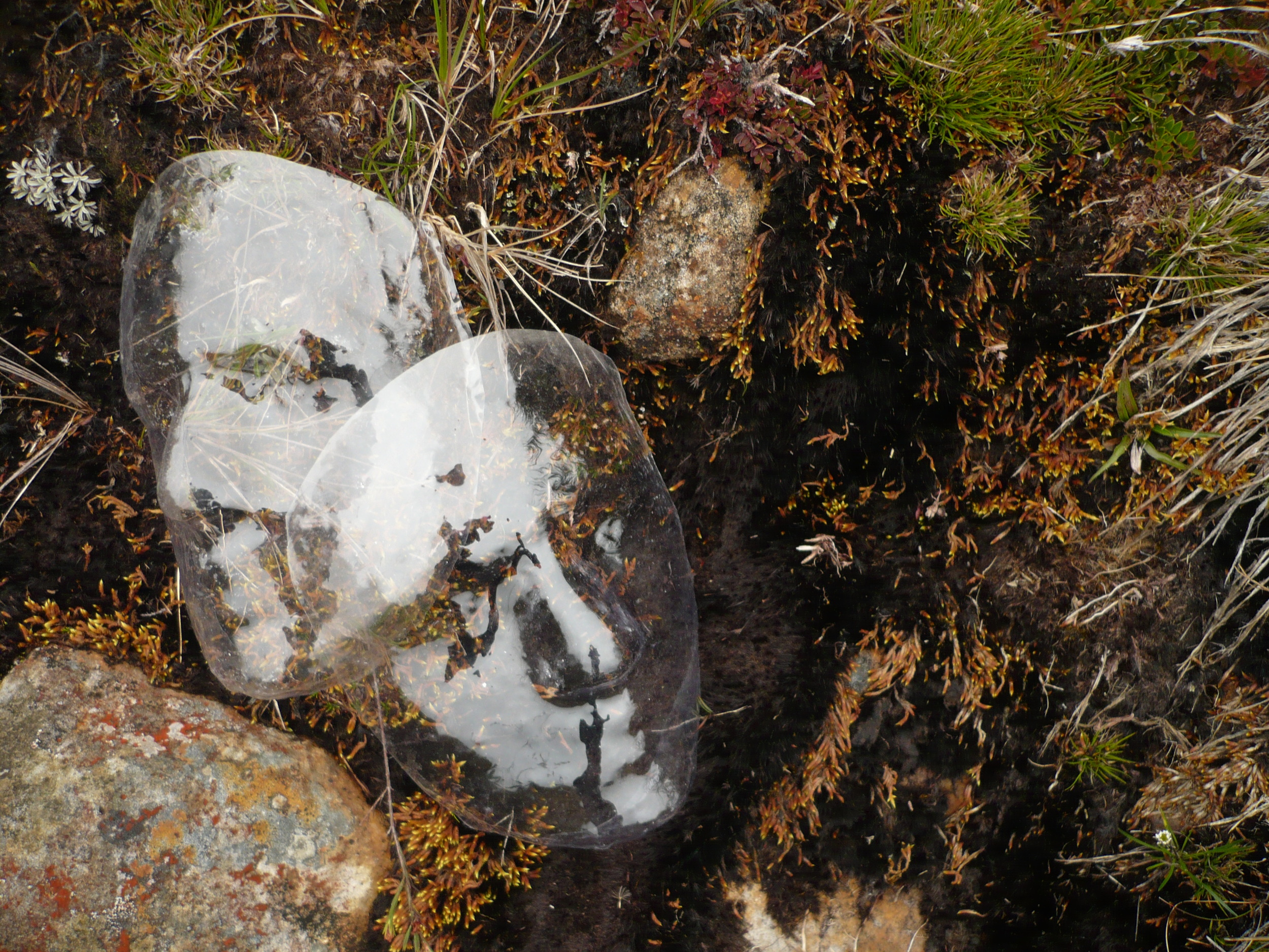 Can plastic ever become a green technology? Valeria Montana Bonavides/Flickr (CC BY 2.0)