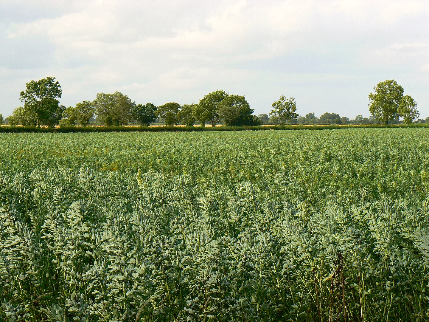 Pythagoras’ greatest nightmare. Brian Robert Marshall/Geograph (CC BY-SA 2.0)