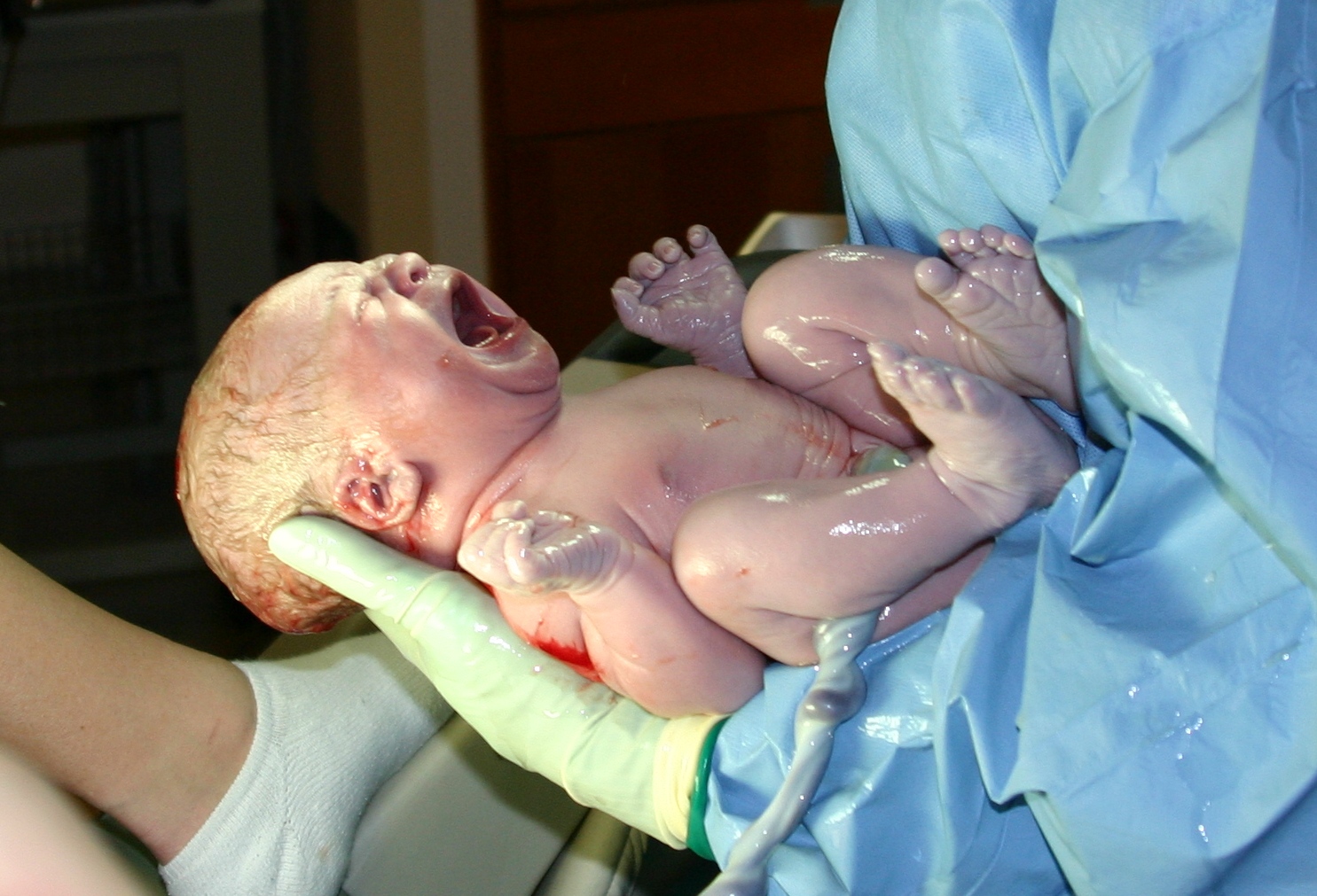 A newborn, still bathed in amniotic fluid, takes its first breaths. Ernest F/Wikimedia Commons (CC BY-SA 3.0)