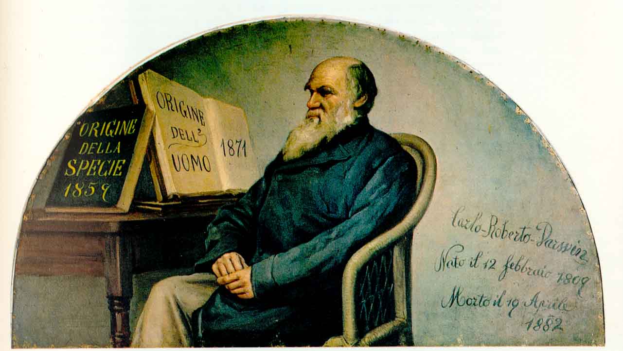 Italian panel (ca. 1890) featuring Charles Darwin, on display at the Turin Museum of Human Anatomy. Wikimedia Commons (public domain)