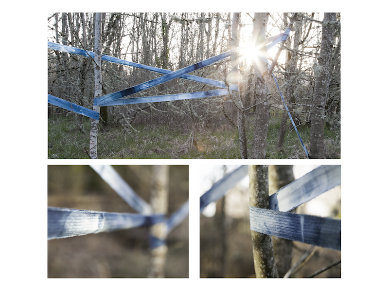 Jaden J. A. Hastings, On the Subjugation of Nature (2015), 18.3m x 10.2cm, cyanotype on textile. (reproduced with permission)