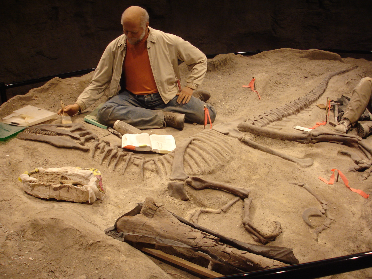 When you look at a fossilised dinosaur skeleton, you’re seeing the moment of death frozen in time. Michael Rivera/Flickr (CC BY-NC-ND 2.0)