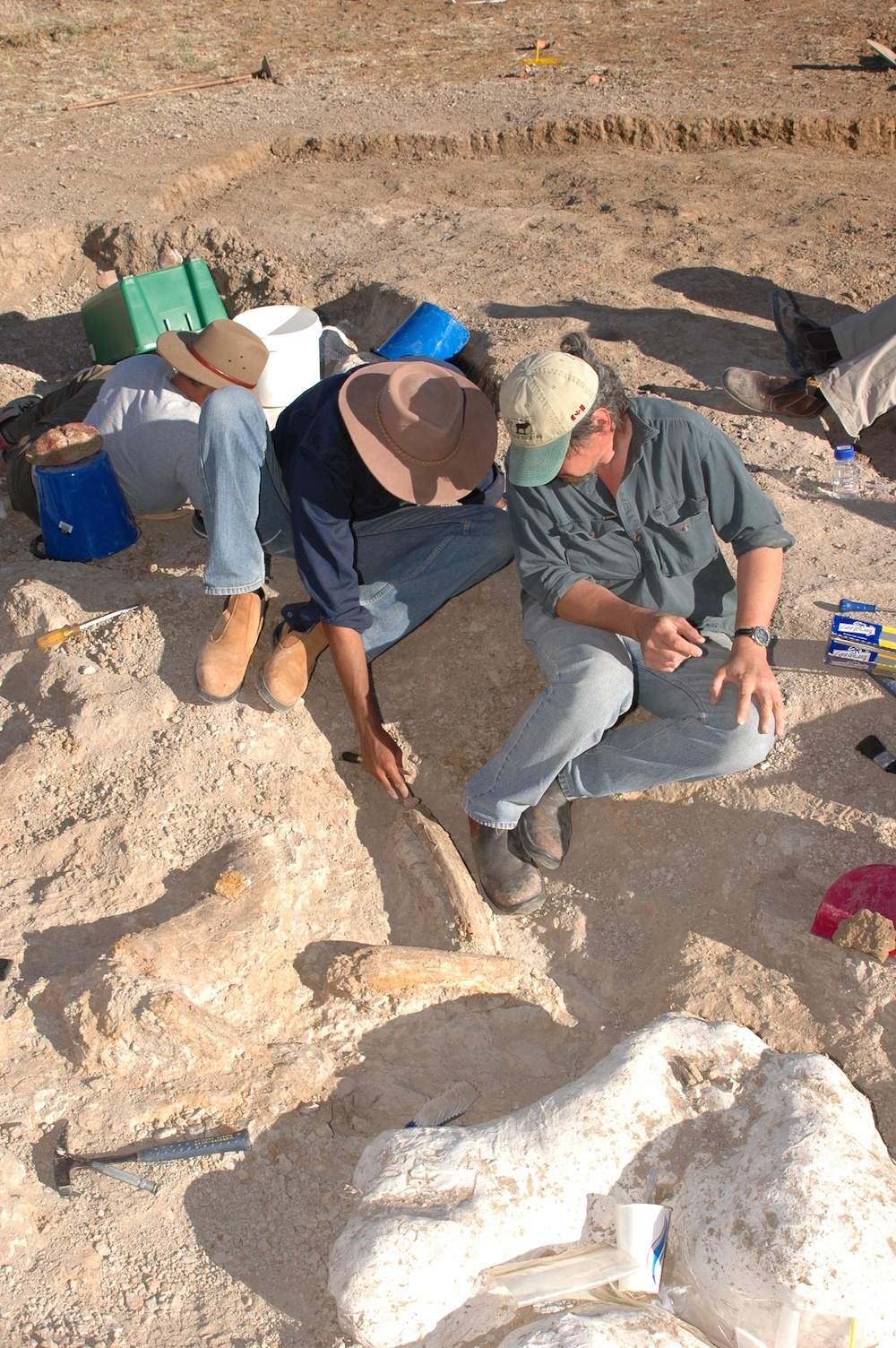The ancient detectives hard at work. Steven Salisbury (reproduced with permission) 