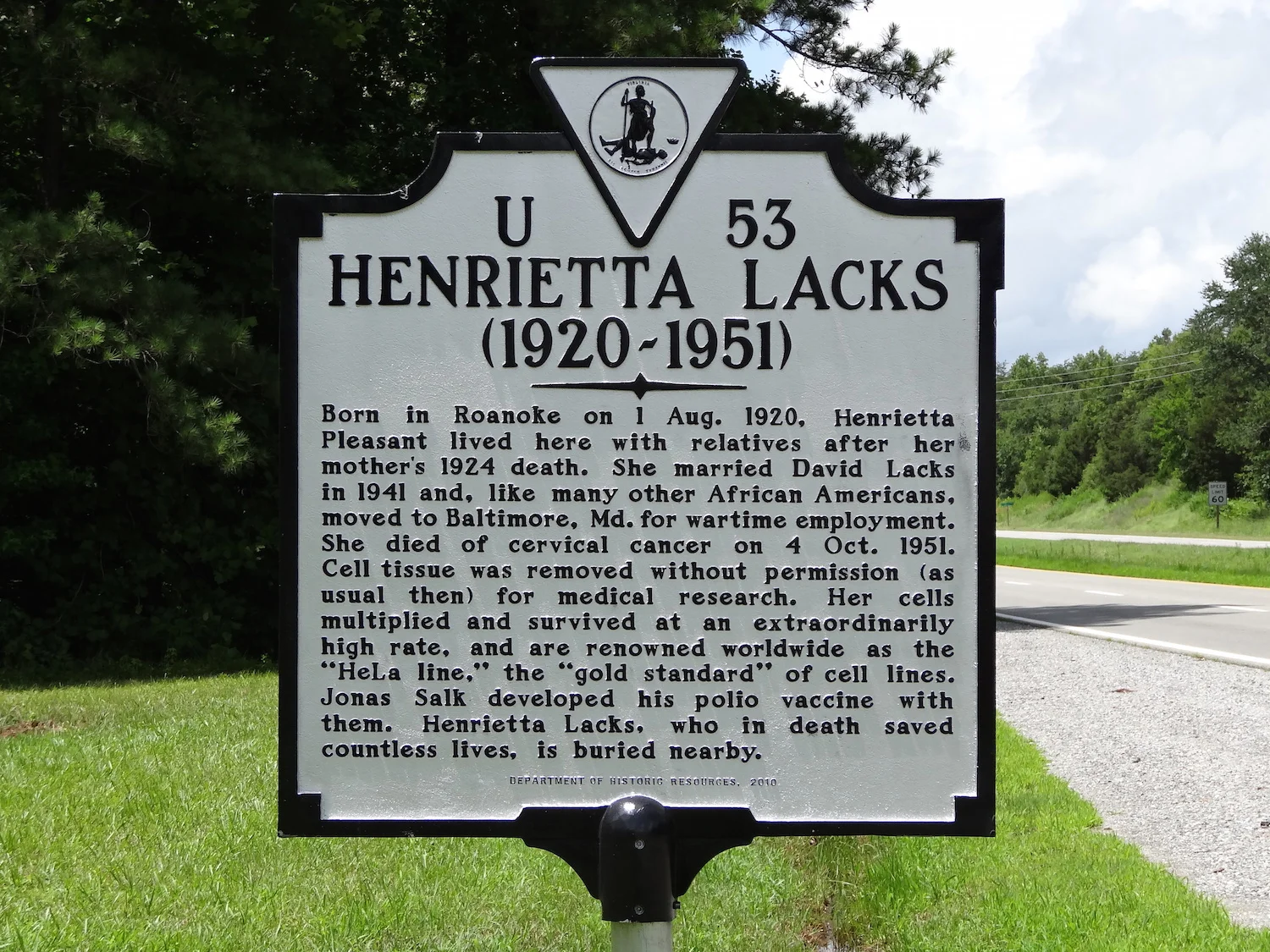 Much too late, a historical marker in Clover, Virginia recognises Henrietta Lacks’ contribution to medical research. Emw/Wikimedia Commons (CC BY-SA 3.0)