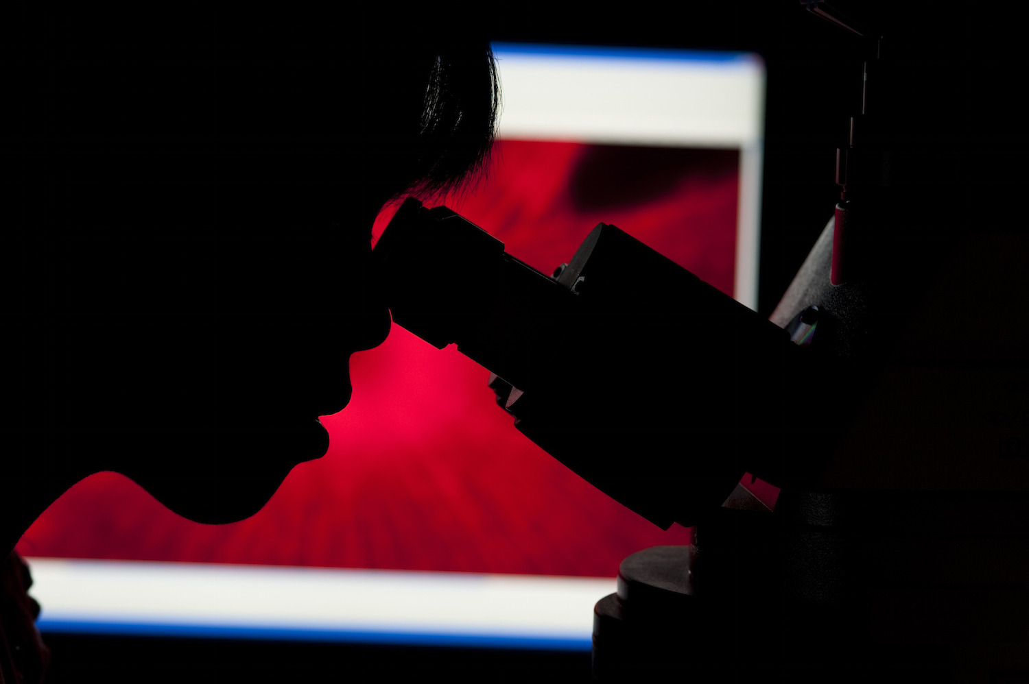 Medical researchers should focus on microscopic details without losing sight of the bigger picture. National Eye Institute/Flickr (CC BY 2.0)