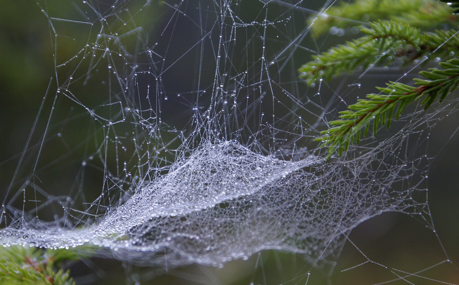Science, the media and the public are tangled up in a complex web – but we’re stronger together. Randi Hausken/Flickr (CC BY-SA 2.0)