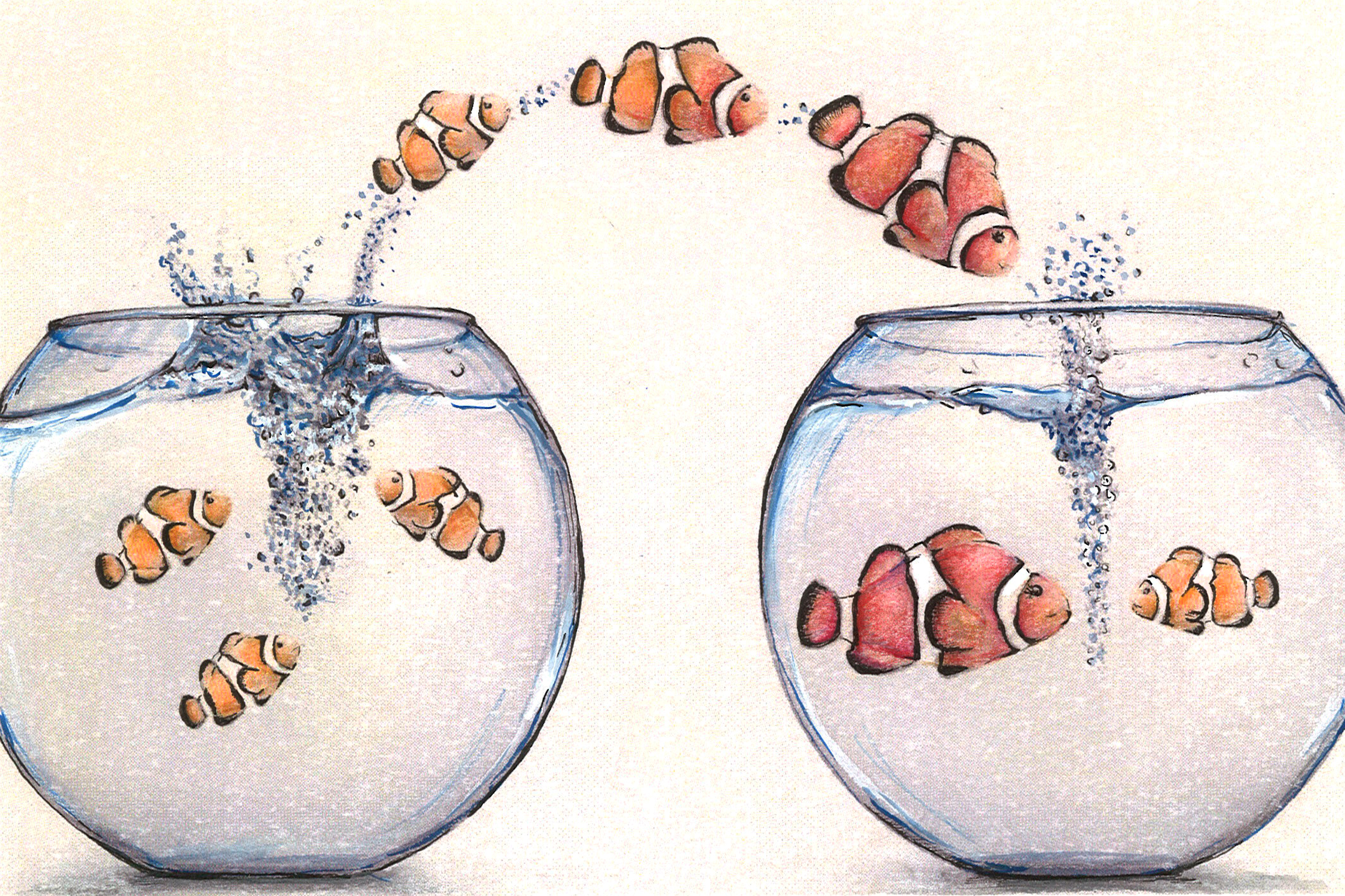 Illustration by Olivia Baenziger