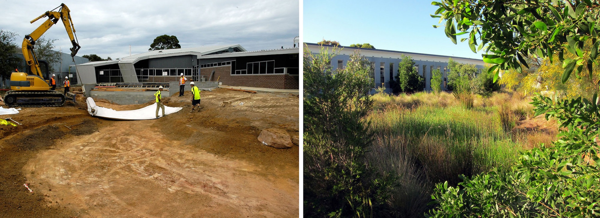 Building the wetland ecosystem among the school buildings at Bentleigh Secondary College. Left: Construction begins in 2009. Right: Present day. Photos courtesy of Bentleigh Secondary College.