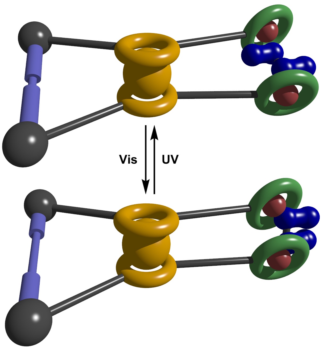 The opening and closing of the molecular pliers causes deformation of the separate blue molecule gripped between the two blades. The ferrocene ball bearing is depicted in yellow, the handle in light blue, and the metal embedded blade in green/red . Image provided by author.