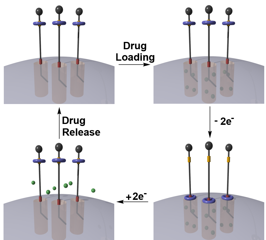 Drug delivery systems can be controlled by nanovalves. The molecular ring (blue) shuttles between the open station (yellow) to the closed station (red) on removal of electrons. In this way, the release of the drug (green) can be controlled. Image provided by author.