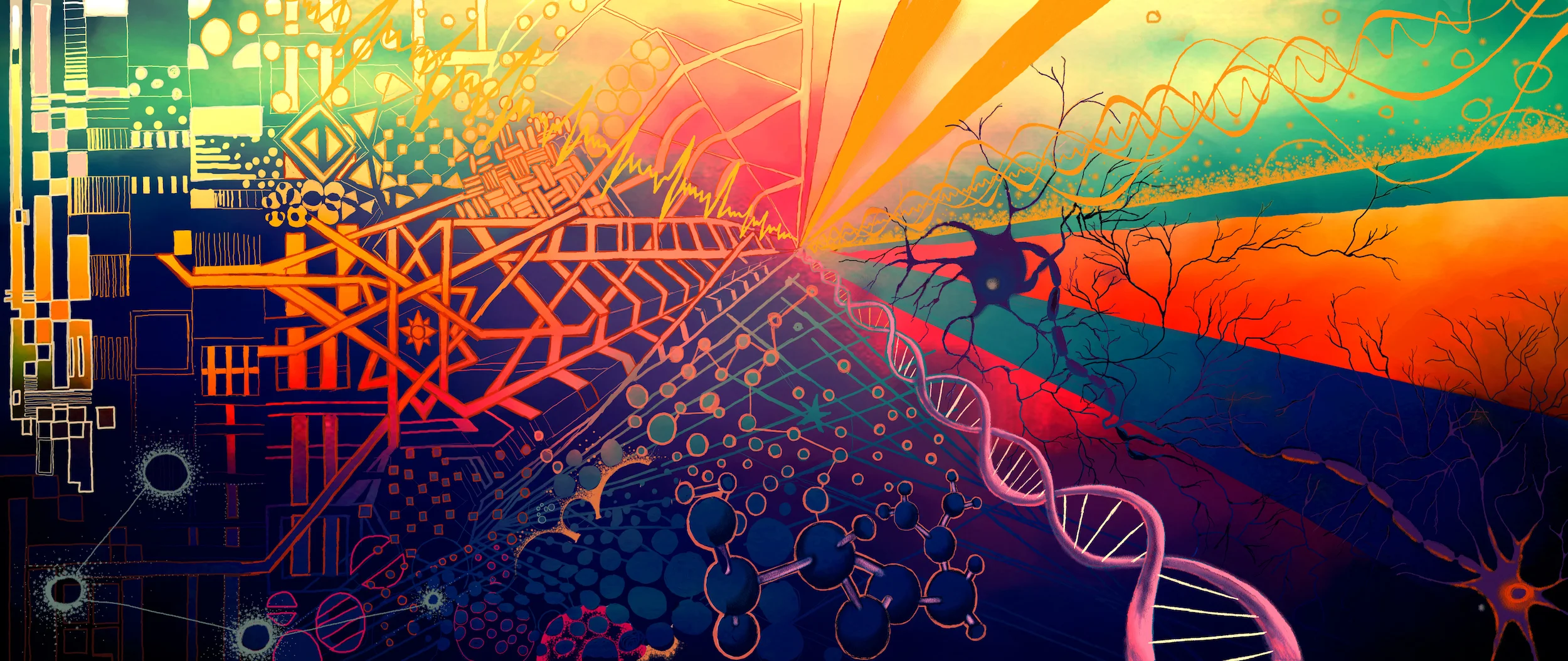 Issue 4: Transformation