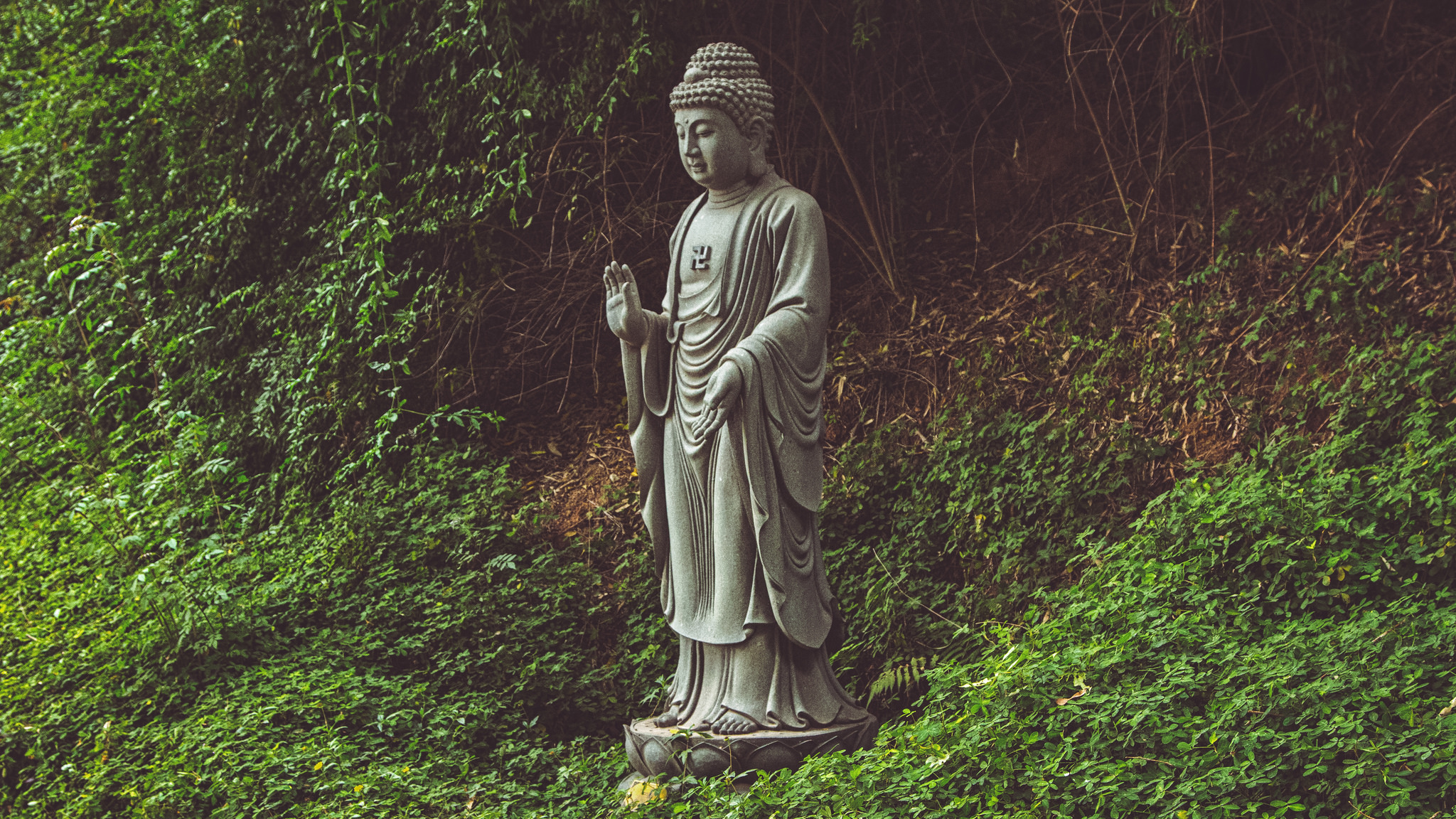 In dealing with uncertainty, scientists could learn something from Buddhism. Pedro Travassos/Flickr (CC BY 2.0)