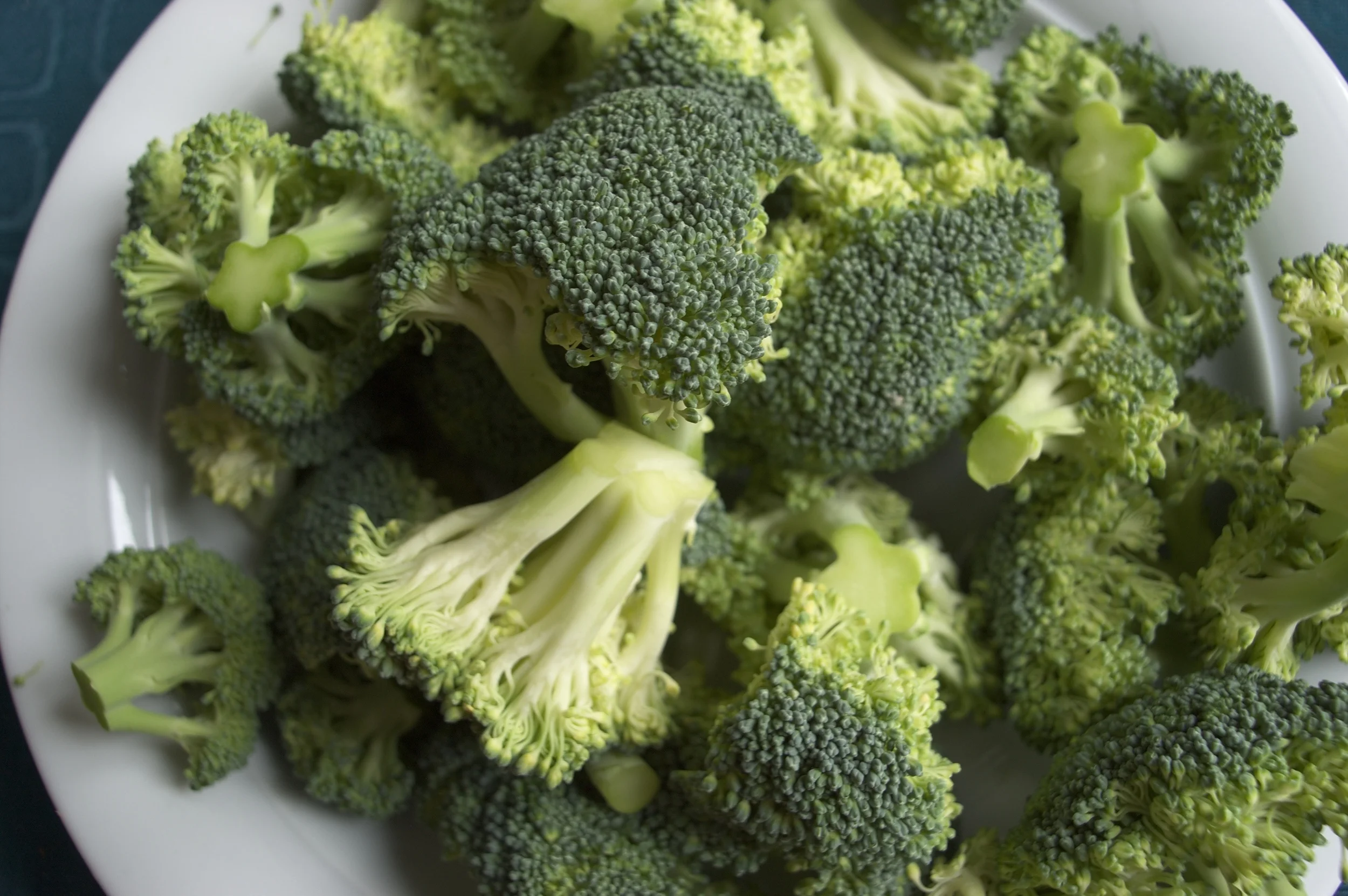 The bitter-tasting broccoli is a divisive vegetable among children and adults alike. Steffen Zahn/Flickr (CC BY 2.0)