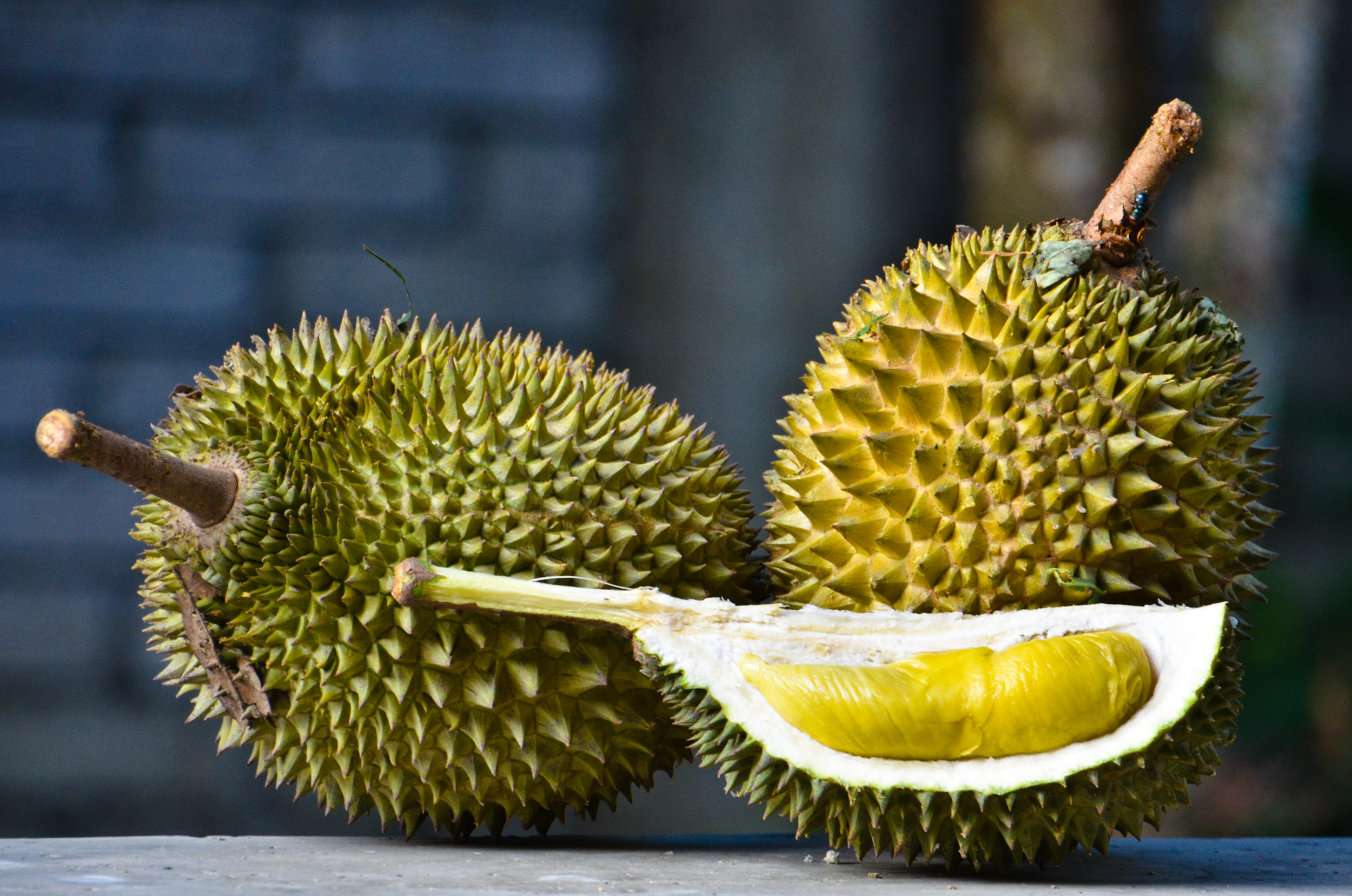 Some people relish the potent flavour of the durian, whereas others are repulsed by it. Mohd Hafizuddin Husin/Flickr (CC BY-NC-ND 2.0)