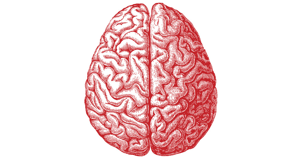 Chemical signals in the brain have a large part to play in regulating food intake. Allan Ajifo/Flickr (CC BY 2.0)
