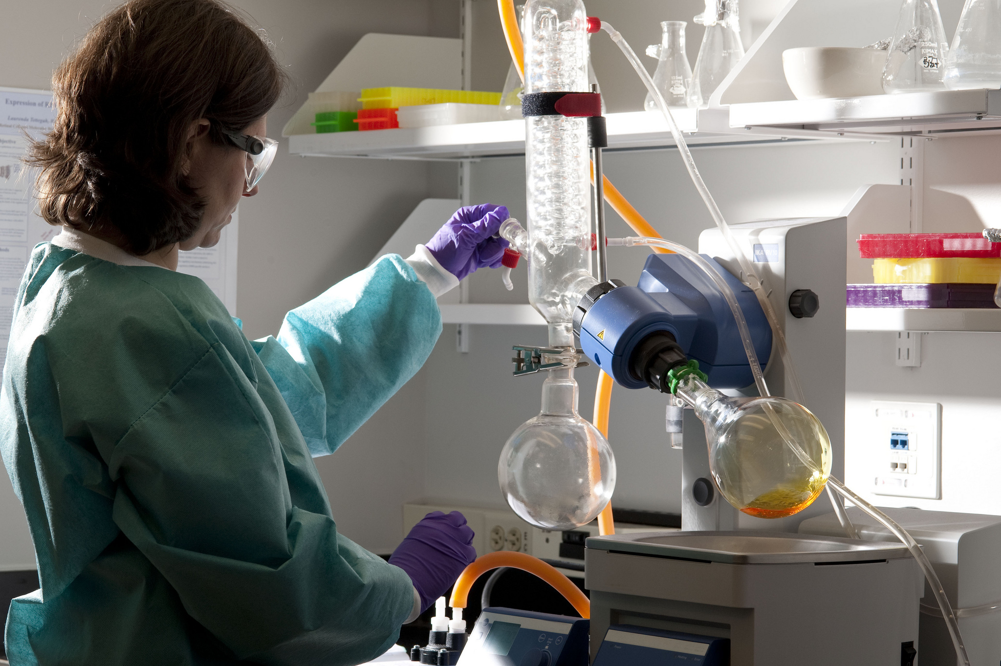 Long hours in the lab means PhD students and post-graduate researchers give up much of their personal lives. National Eye Institute/Flickr (CC BY 2.0)