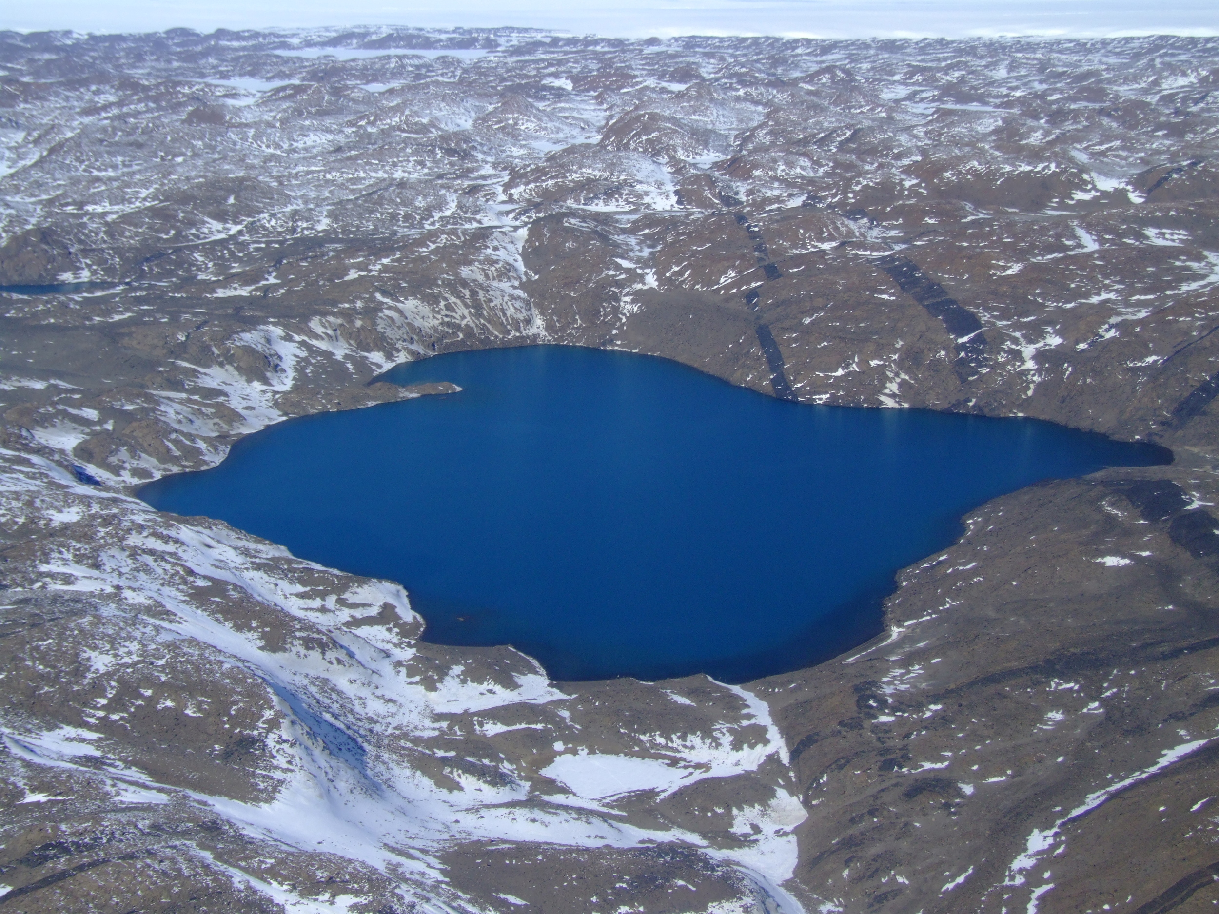 The cold, vibrant waters of Deep Lake in East Antarctica. Ricardo Cavicchioli (used with permission)
