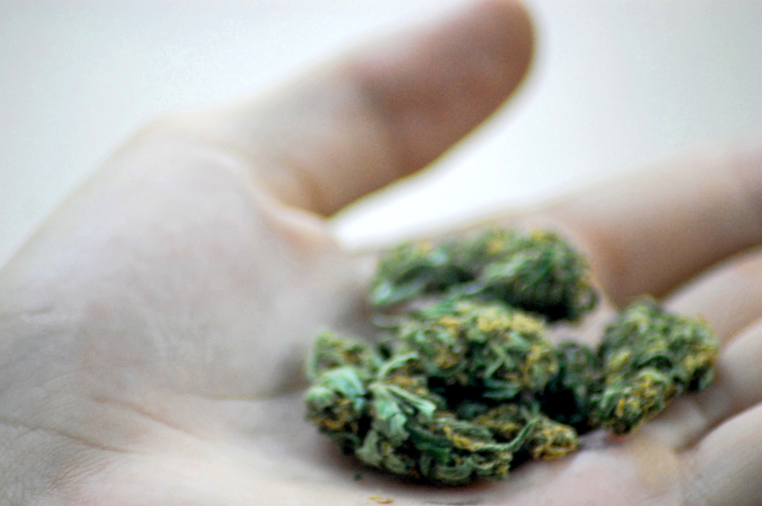 Marijuana affects pain modulation and can give a sense of euphoria. Katherine Hitt/Flickr (CC BY-ND 2.0)