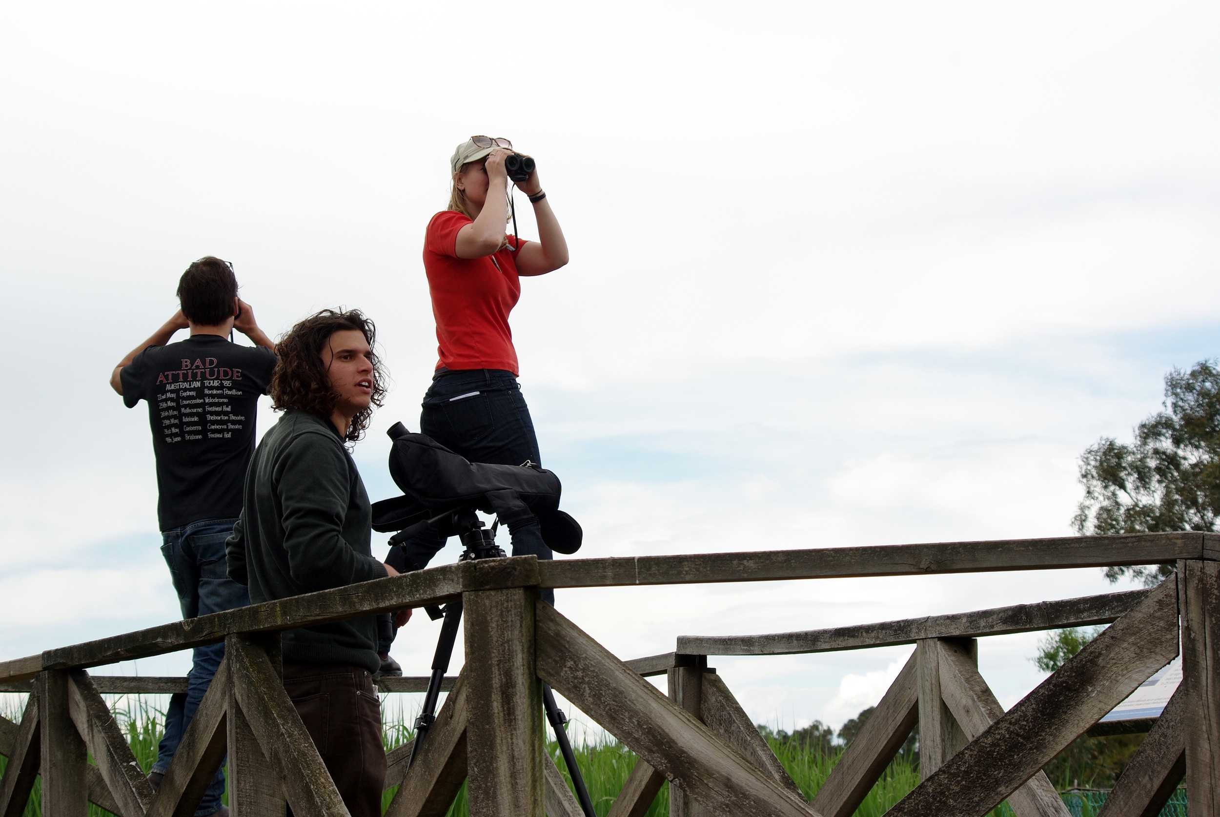 A team of birders scan the skies at Edithvale-Seaford Wetlands during the 2010 Twitchathon. © Rich Akers (used with permission)