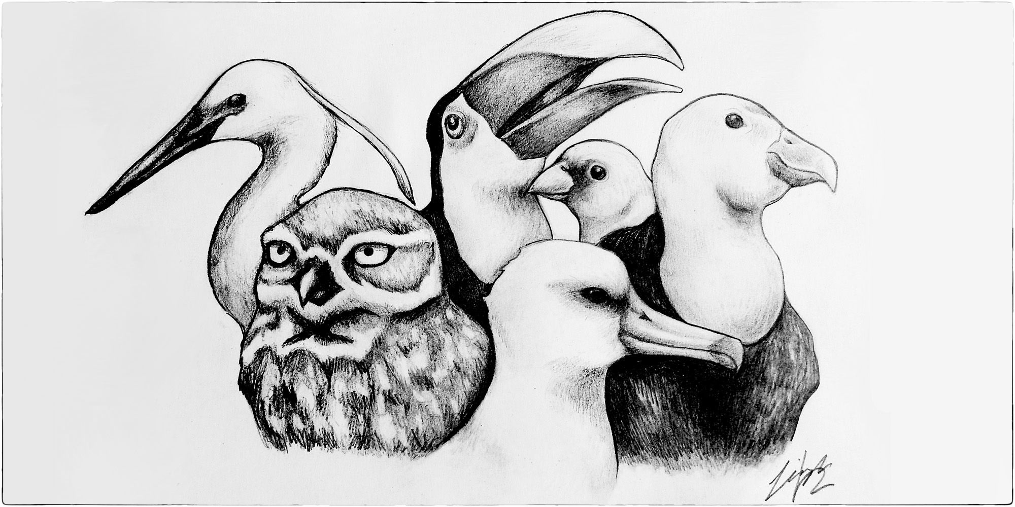 Illustration by Leigh Douglas