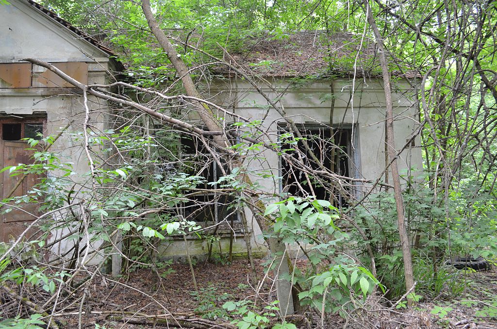 Abandoned buildings in the Chernobyl Exclusion Zone, such as these, as captured in 2013, have been overtaken by nature. Antanana/Wikimedia Commons (CC BY-SA 3.0)