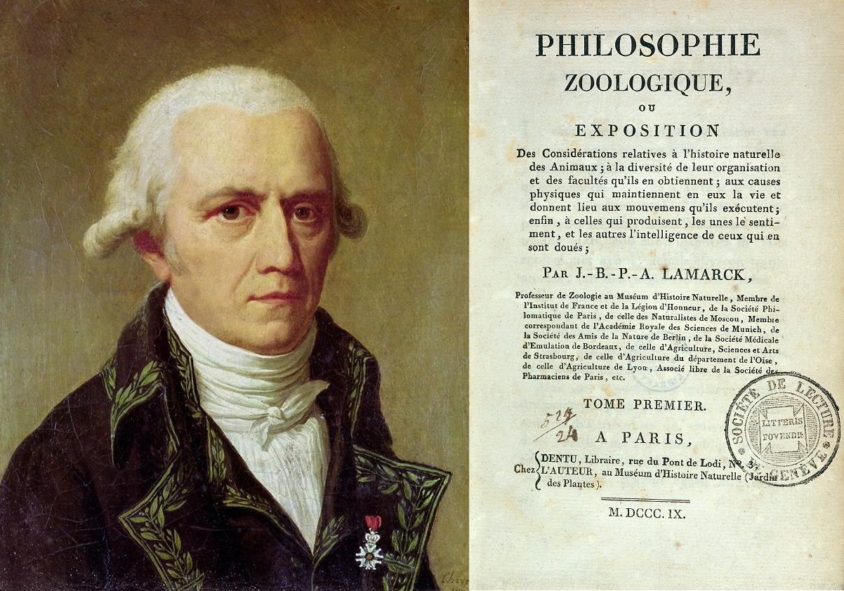Jean Baptiste de Lamarck ( left ) popularised evolution in Europe with his 1809 book Philosophie Zoologique ( right ). Unknown/Wikimedia Commons (public domain); Wellcome Trust/Wikimedia Commons (CC BY 4.0)