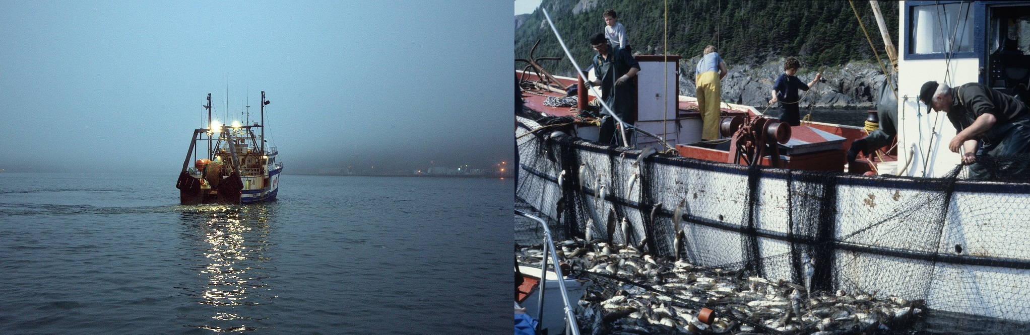 Fishermen in Newfoundland, Canada during the 1970s had a high risk of contracting lip cancer. Anton Likanov/Flickr (CC BY-NC-ND 2.0); Derek Keats/Flickr (CC BY 2.0)