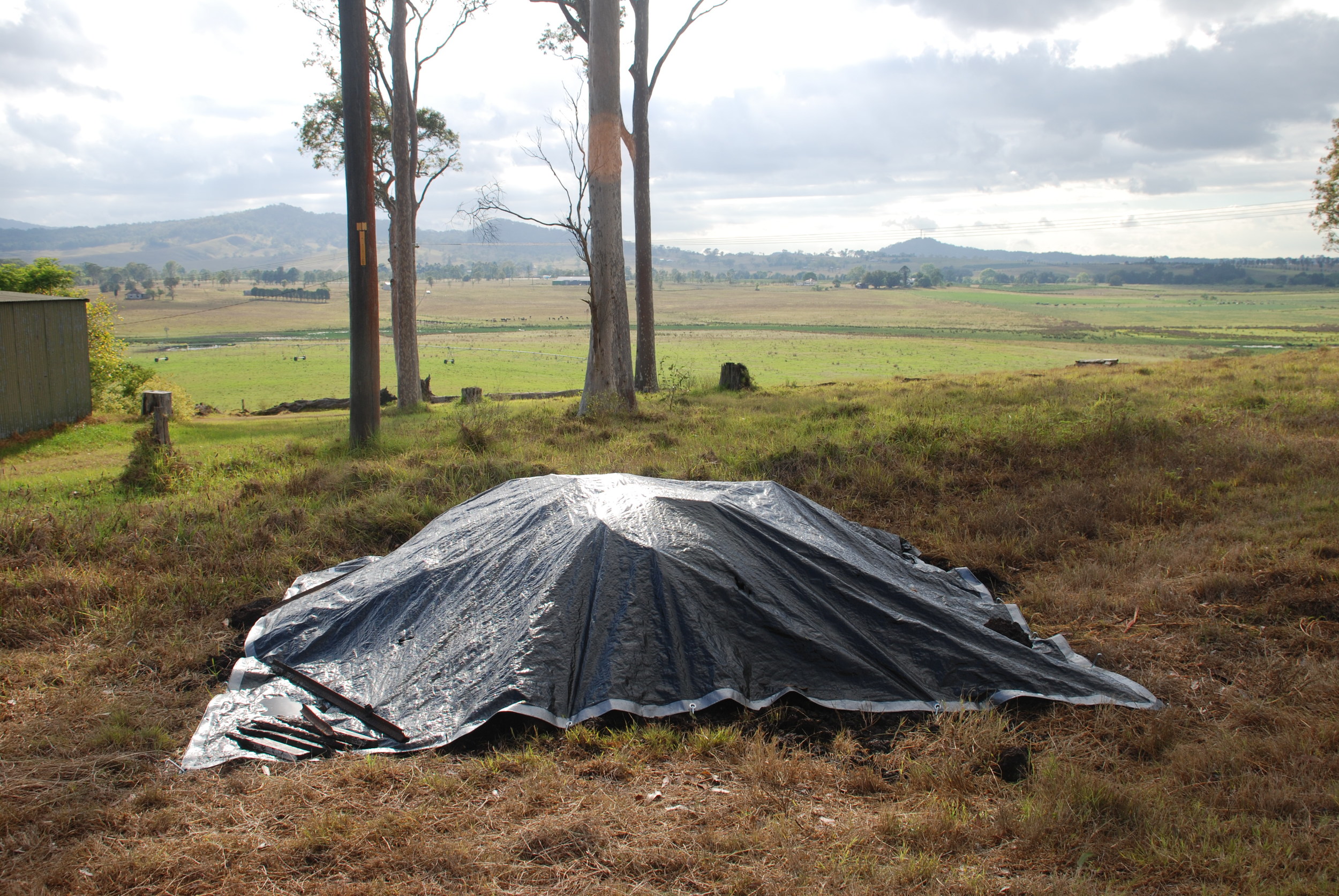  Whale remains buried in a field in the Hunter Valley, NSW.&nbsp;©&nbsp;Sandy Ingleby (used with permission) 