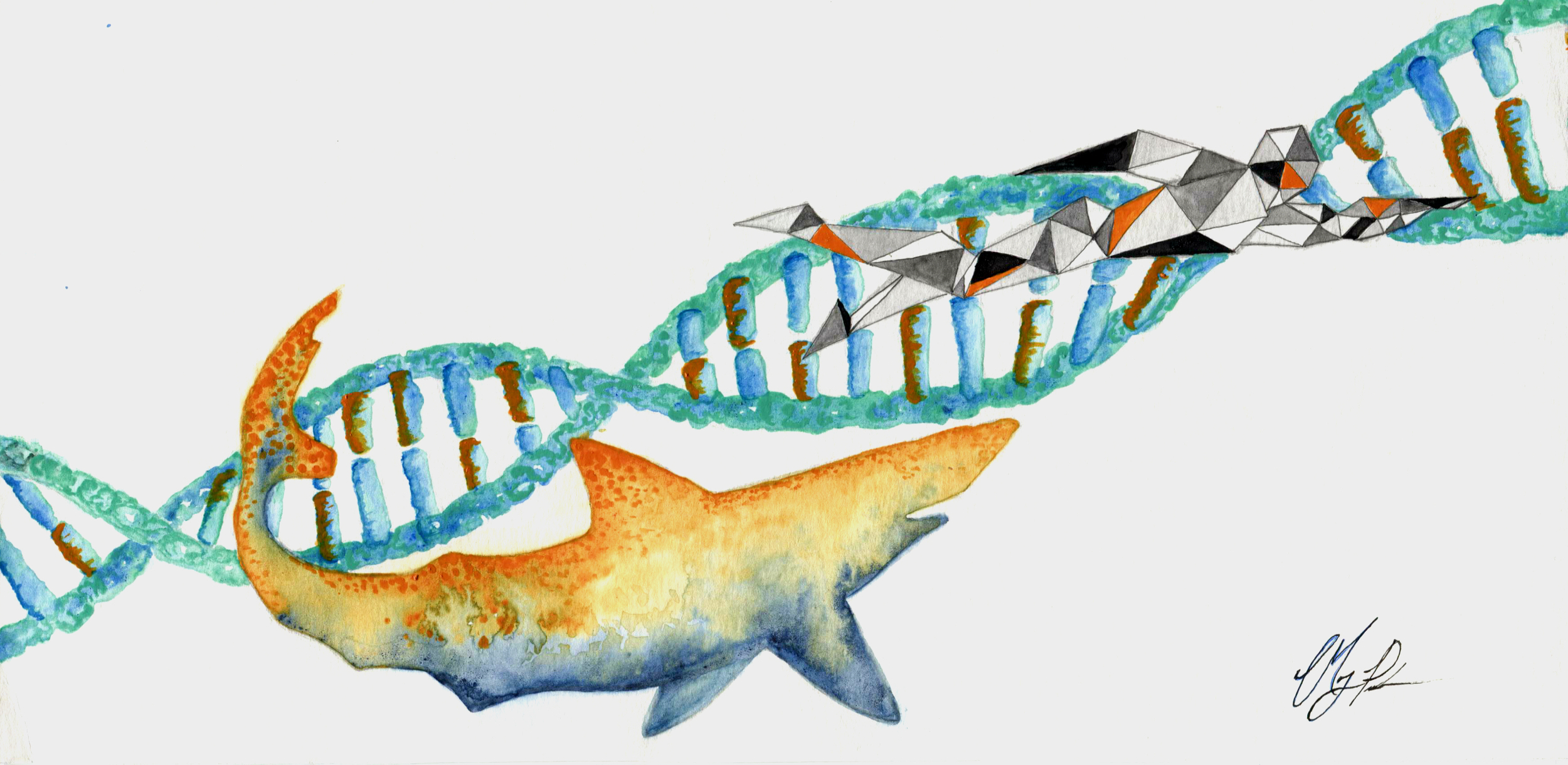 Illustration by Mary Parker