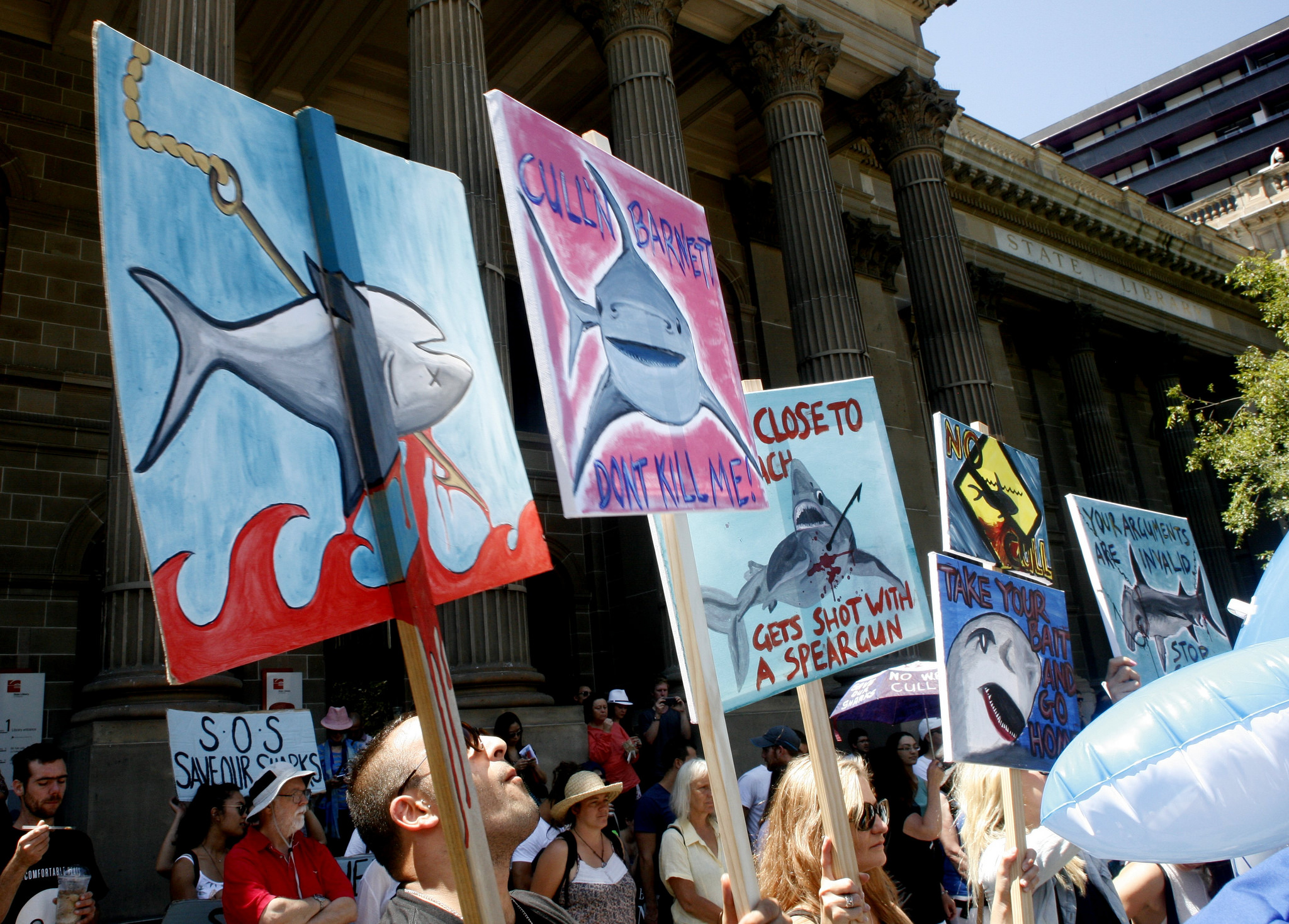 Announcements of shark culling are typically met with protest around Australia. michaelpickard/Flickr (CC BY-NC-ND 2.0)
