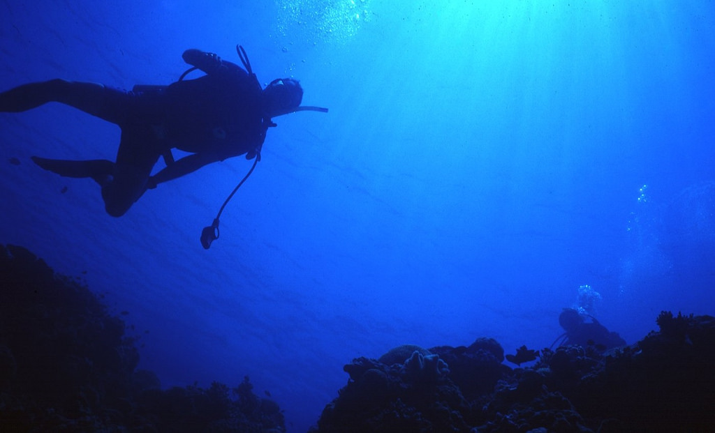 Most ocean users are more concerned about the welfare of marine life than their own fears. Derek Keats/Flickr (CC BY 2.0)