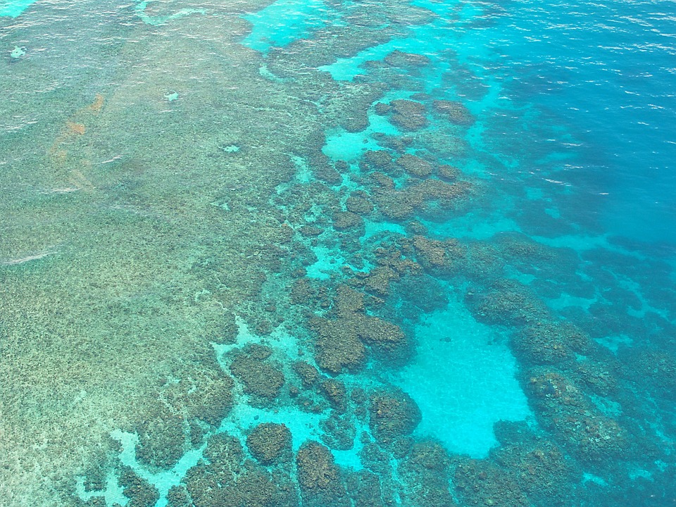 The world’s largest reef system, Australia’s Great Barrier Reef, is under severe danger from anthropogenic pollution and climate change, two of the major causes of coral bleaching. Steinchen/Pixabay (CC0)