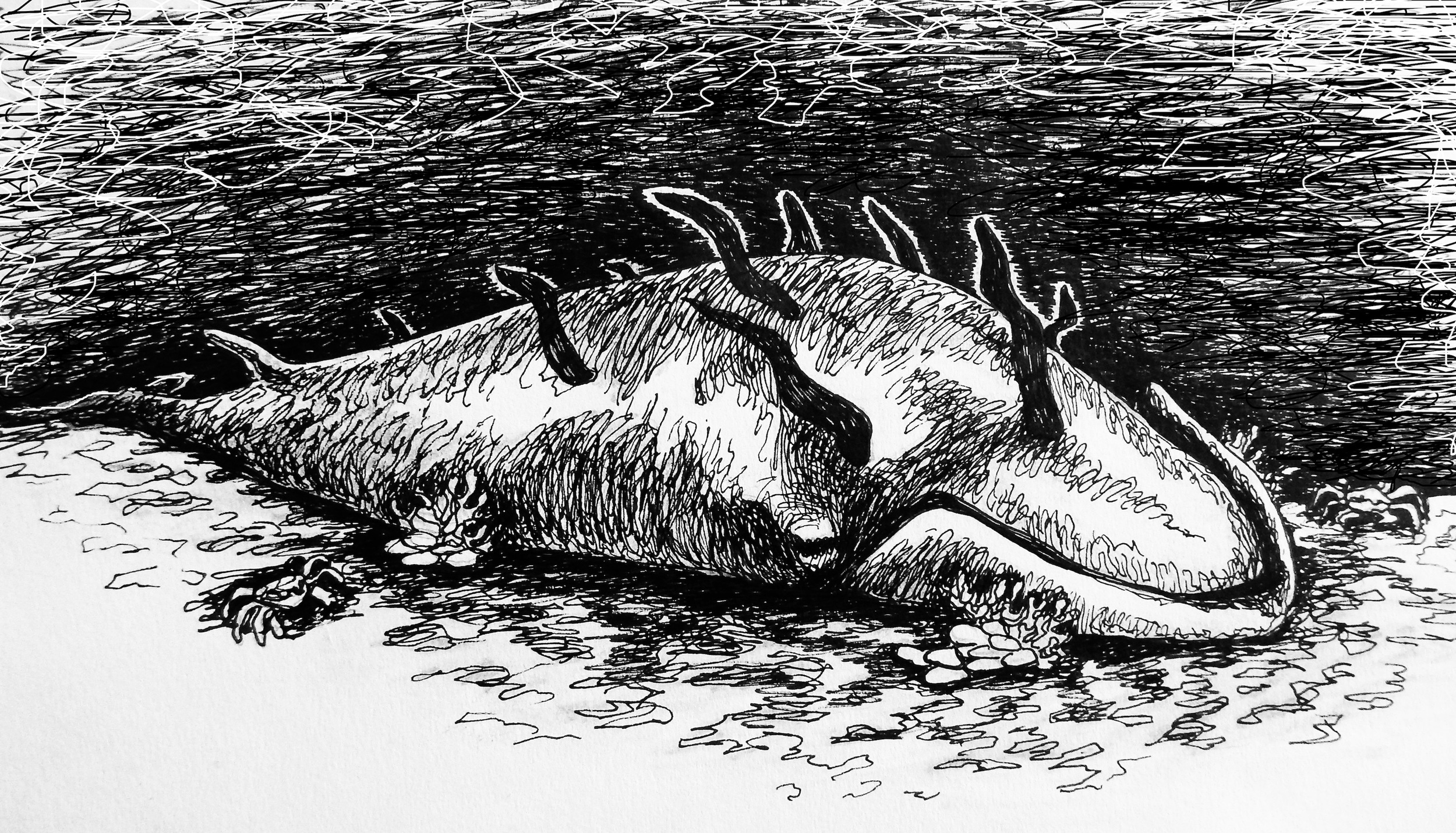 Illustration by Leigh Douglas