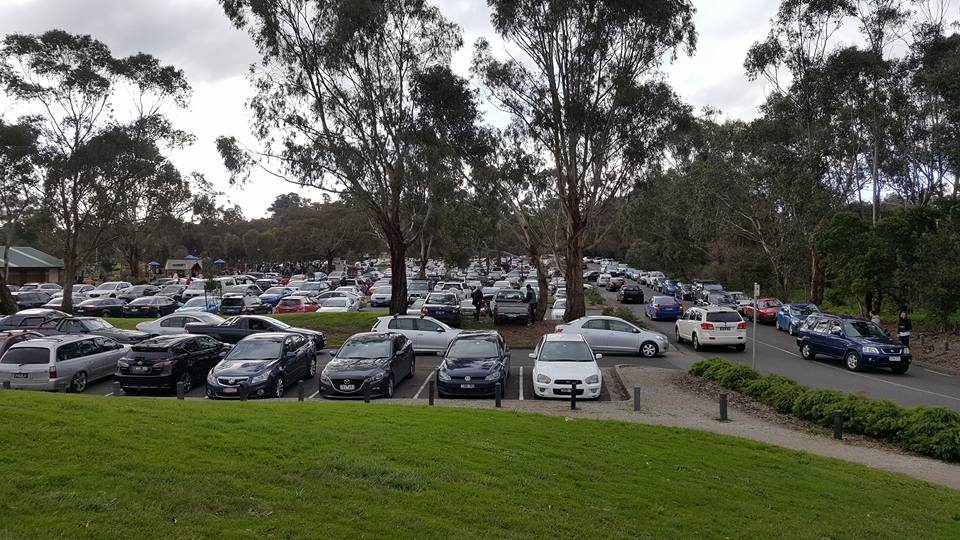 Keen Pokémon masters flock to Lilydale Lake, a popular hotspot for Pokémon hunting. The lake saw over 4,000 visitors in one weekend — and 44 parking fines. © Trung Ly (used with permission)