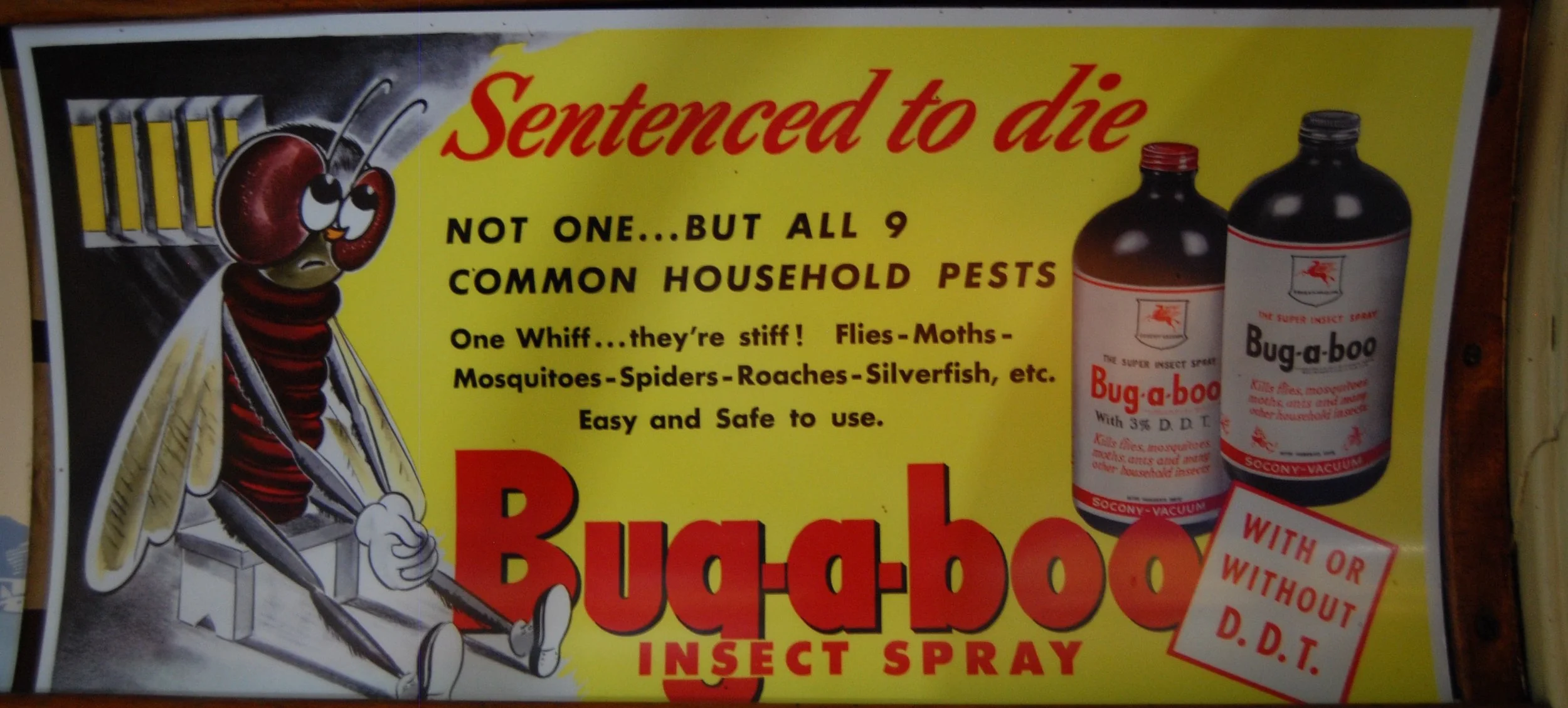 DDT was a very common ingredient even in domestic insecticides in the 1940s and 1950s, and bed bugs quickly became resistant. Kevin Krejci/Flickr (CC BY 2.0)
