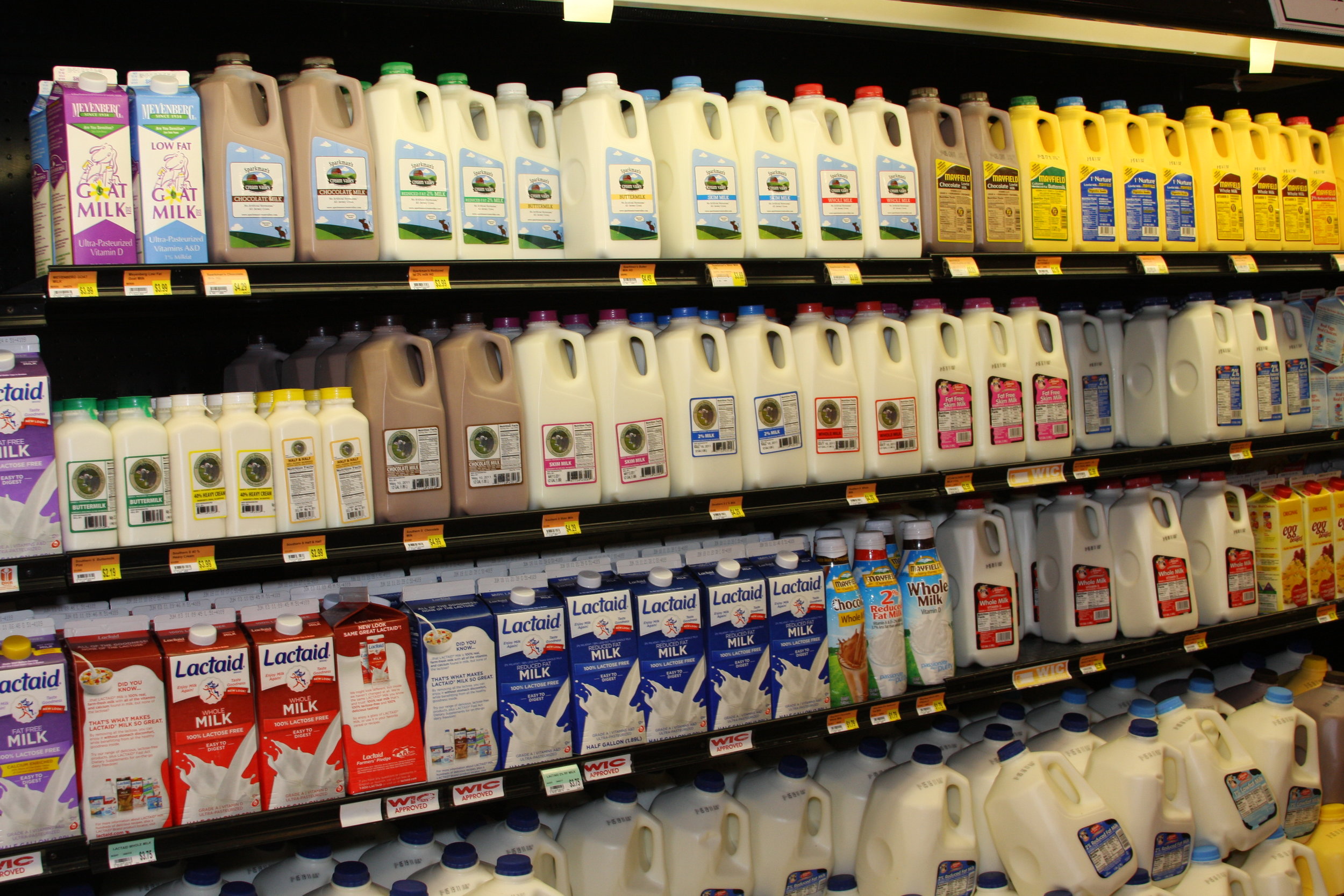 Our modern Western diet, rich in dairy products, took some evolving to get used to. April Sorrow/Flickr (CC BY-NC 2.0)