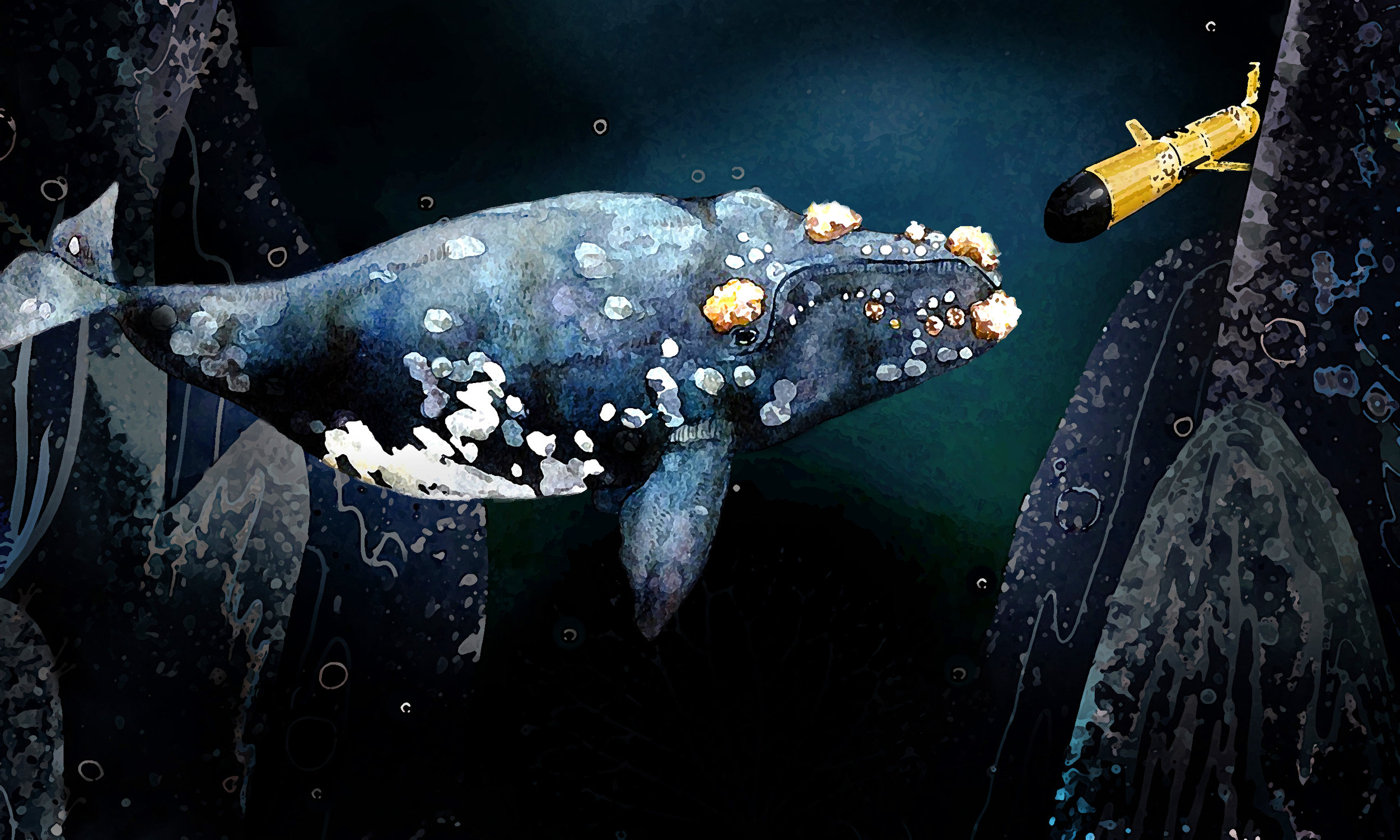 Illustration by Olivia Baenziger