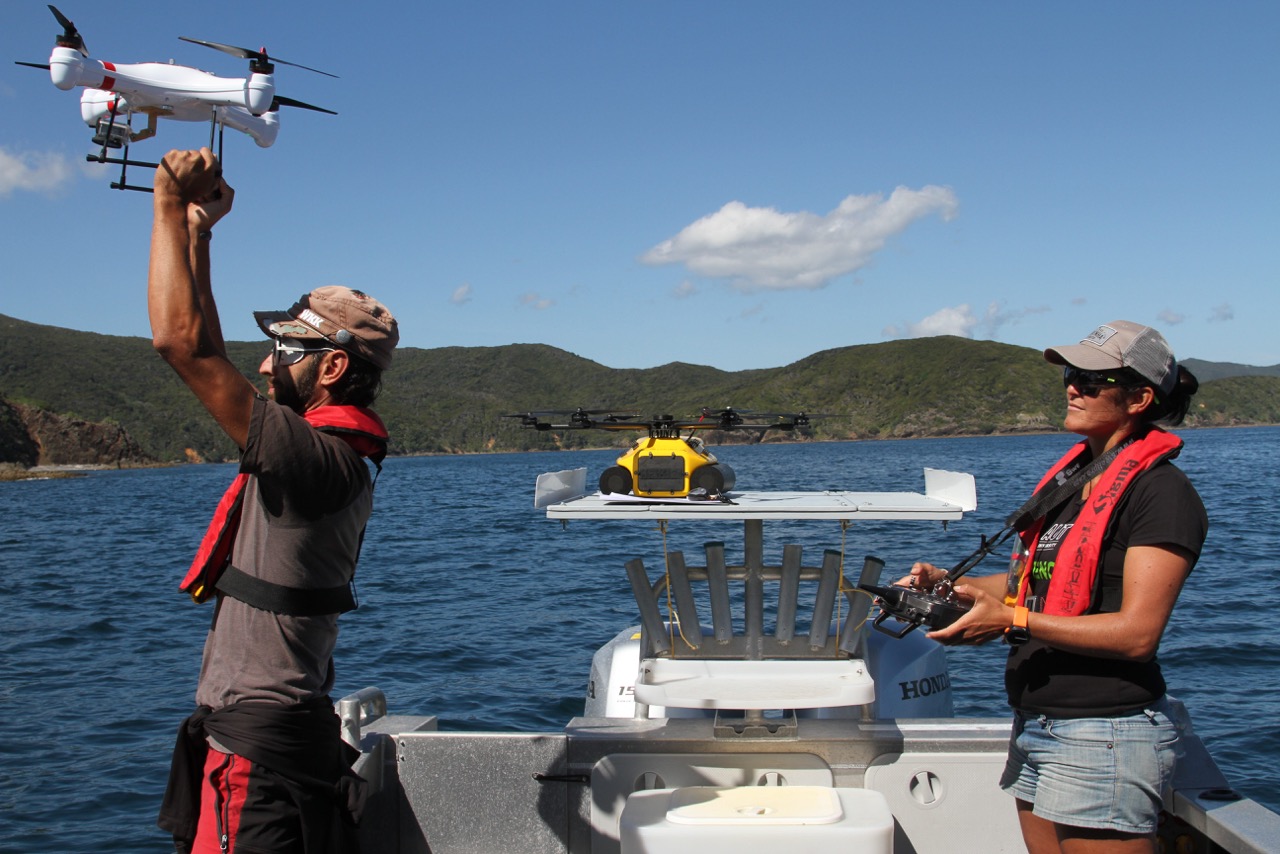 Marine biologist Ticiana Fettermann and a colleague launch a drone for dolphin-tracking research. © Ticiana Fettermann (used with permission) 