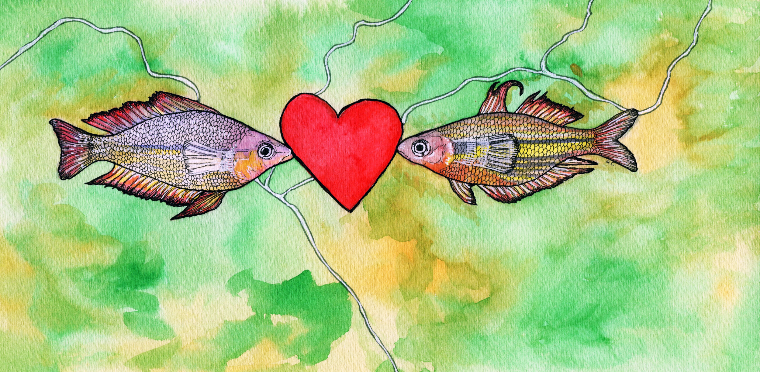Illustration by Arpita Choudhury