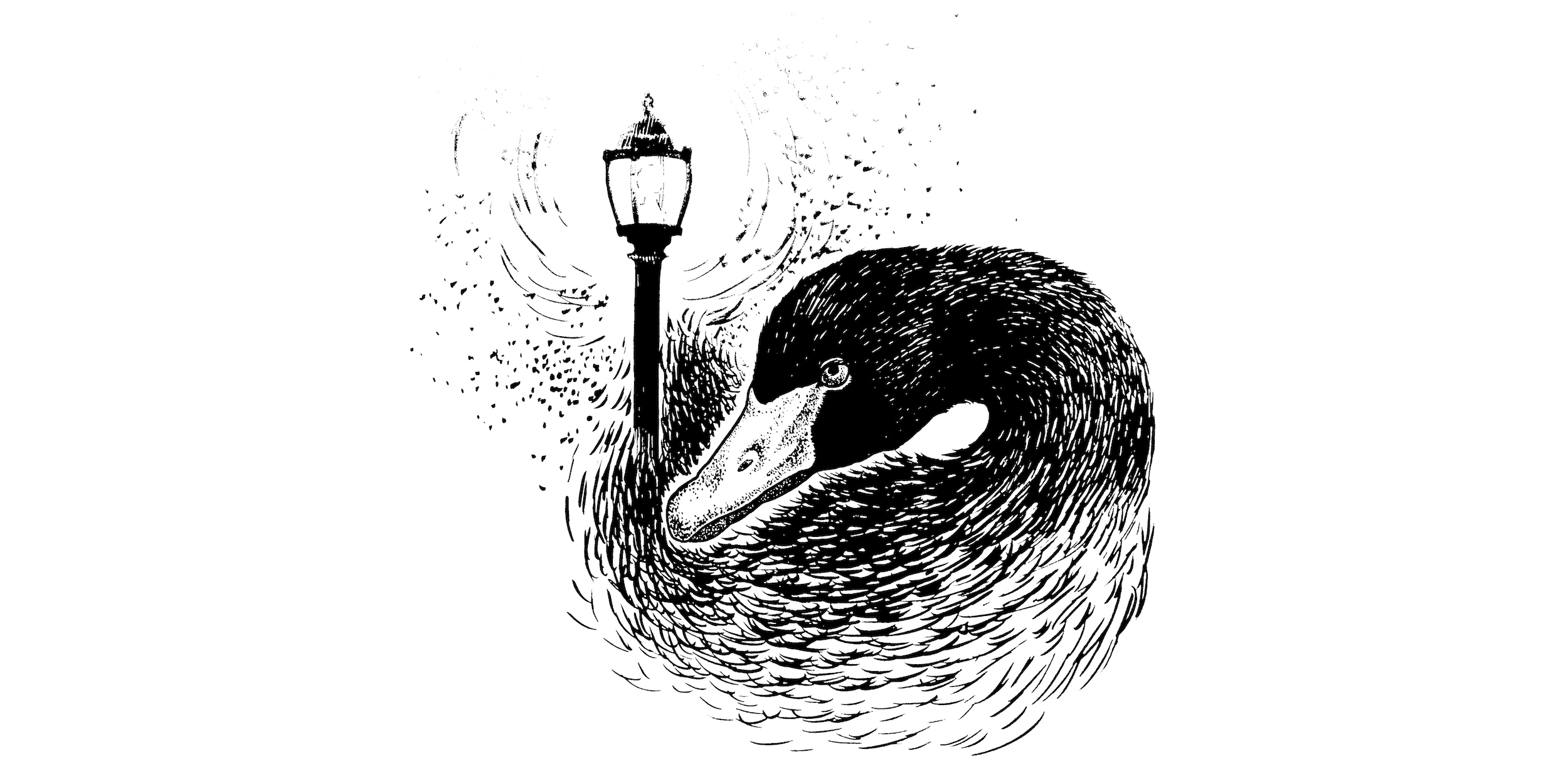 Illustration by Leigh Douglas