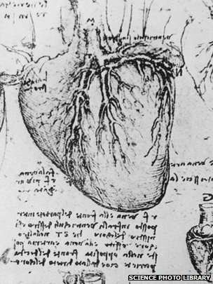 Leonardo da Vinci’s anatomical drawing of the heart. BBC/Science Photo Library (public domain)
