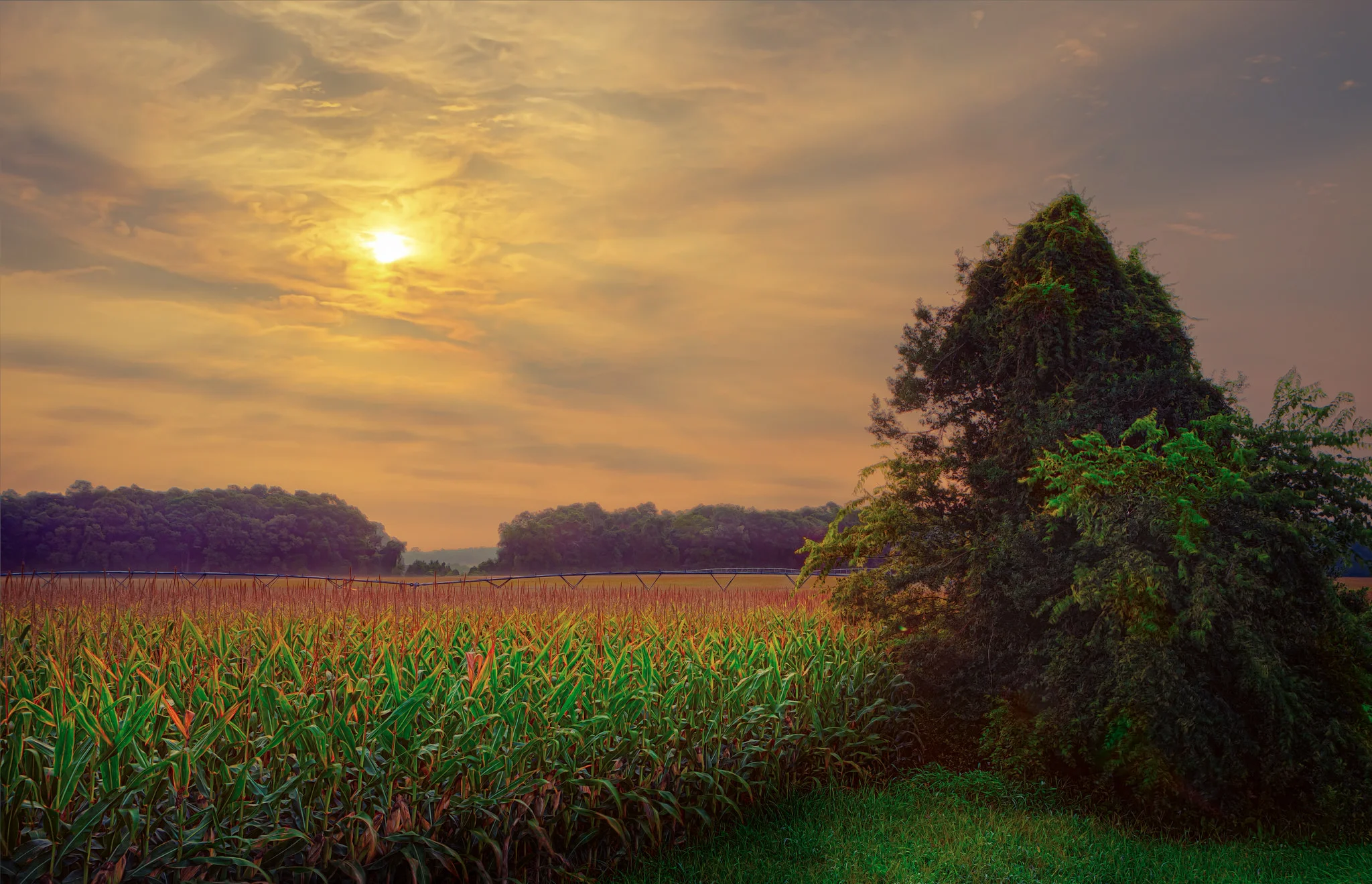 More efficient agriculture could help us feed a booming human population. Eric B. Walker/Flickr (CC BY-NC 2.0)