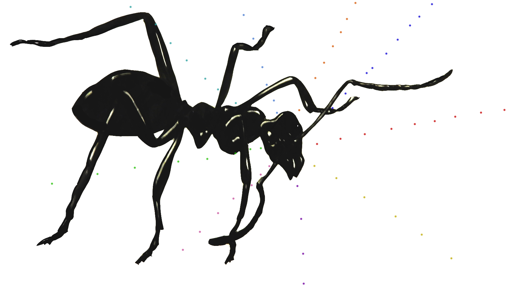 Illustration by Leigh Douglas