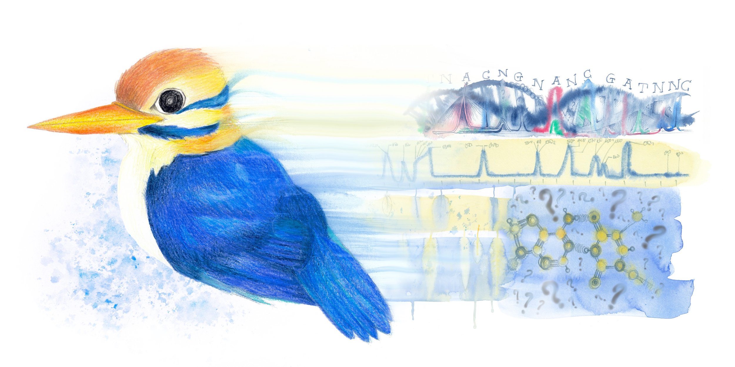 Illustration by Eliza Wolfson