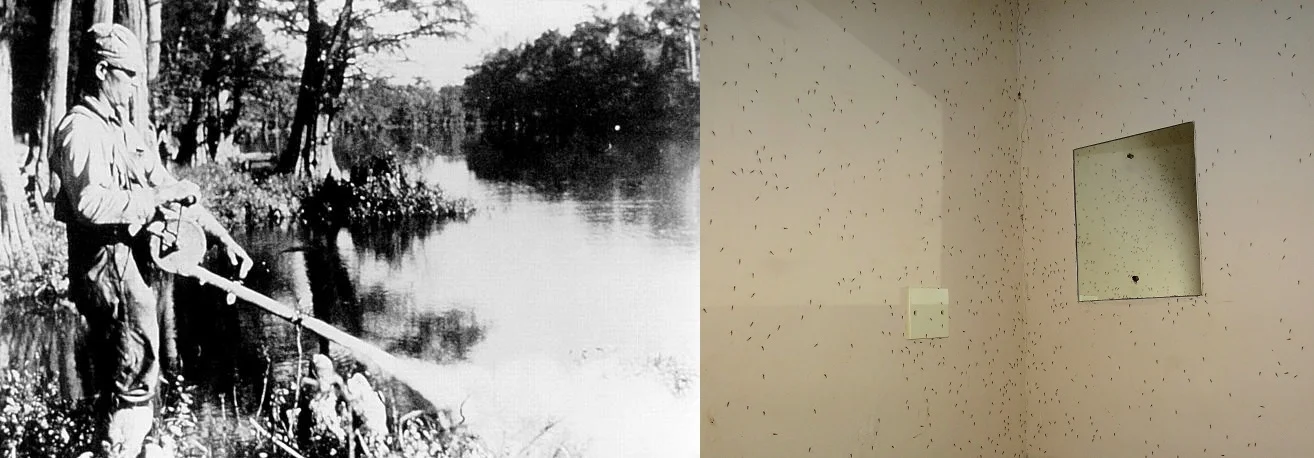 Insecticides such as dichlorodiphenyltrichloroethane ( DDT) are also used for mosquito control, as seen in the US in 1958 (left) and in a bathroom in Tanzania (right). Public Health Image Library/Wikimedia Commons (public domain); Bjørn Christian Tørrissen/Wikimedia Commons (CC BY-SA 3.0)